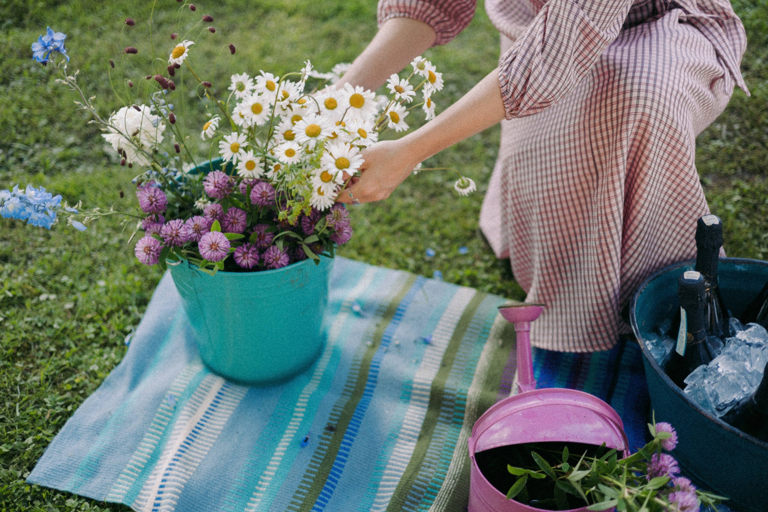 Vasara sode. Портретный фотограф Александра Самозванова