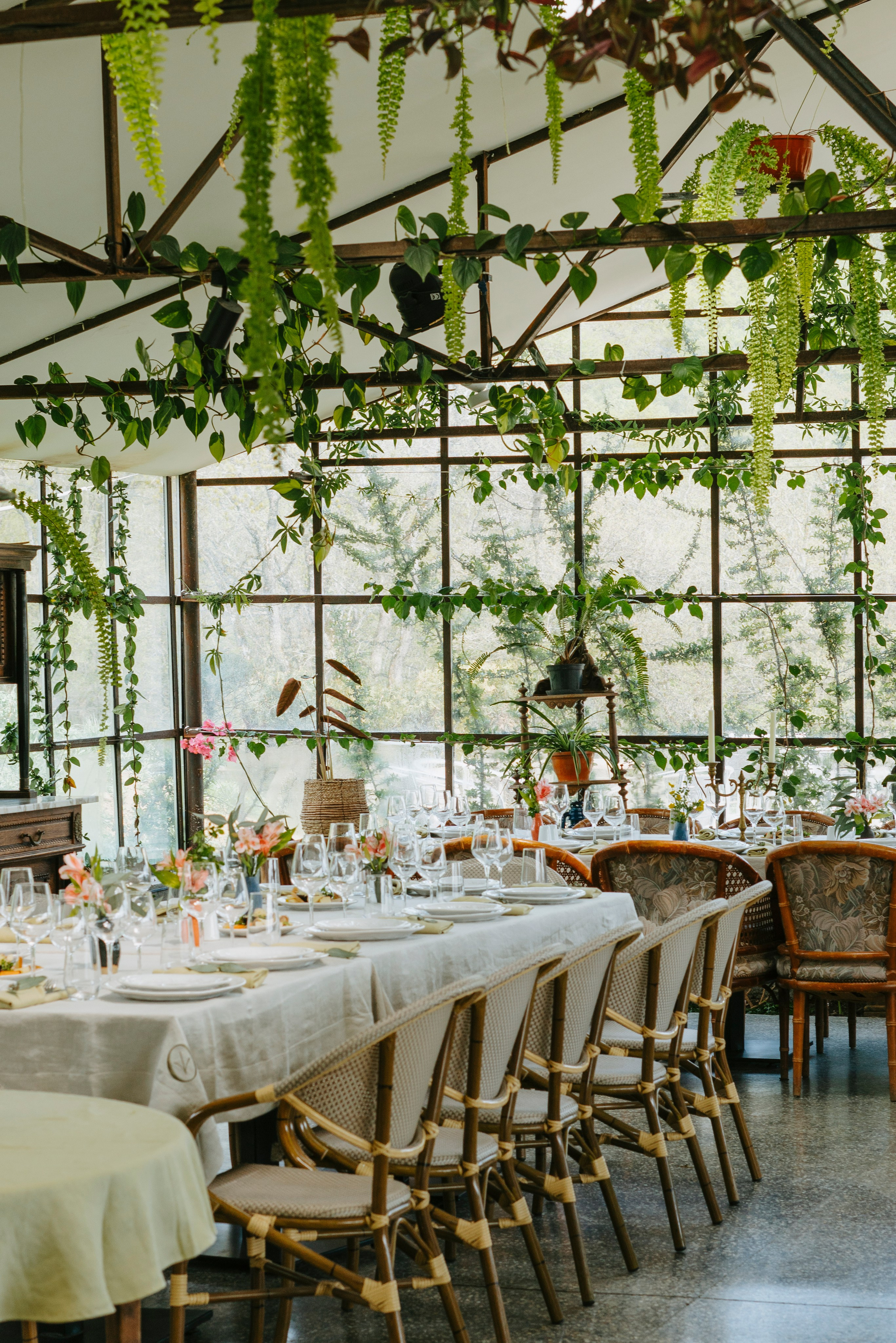 Food. Photographer and videographer for business in Tbilisi Catrine Poznyak