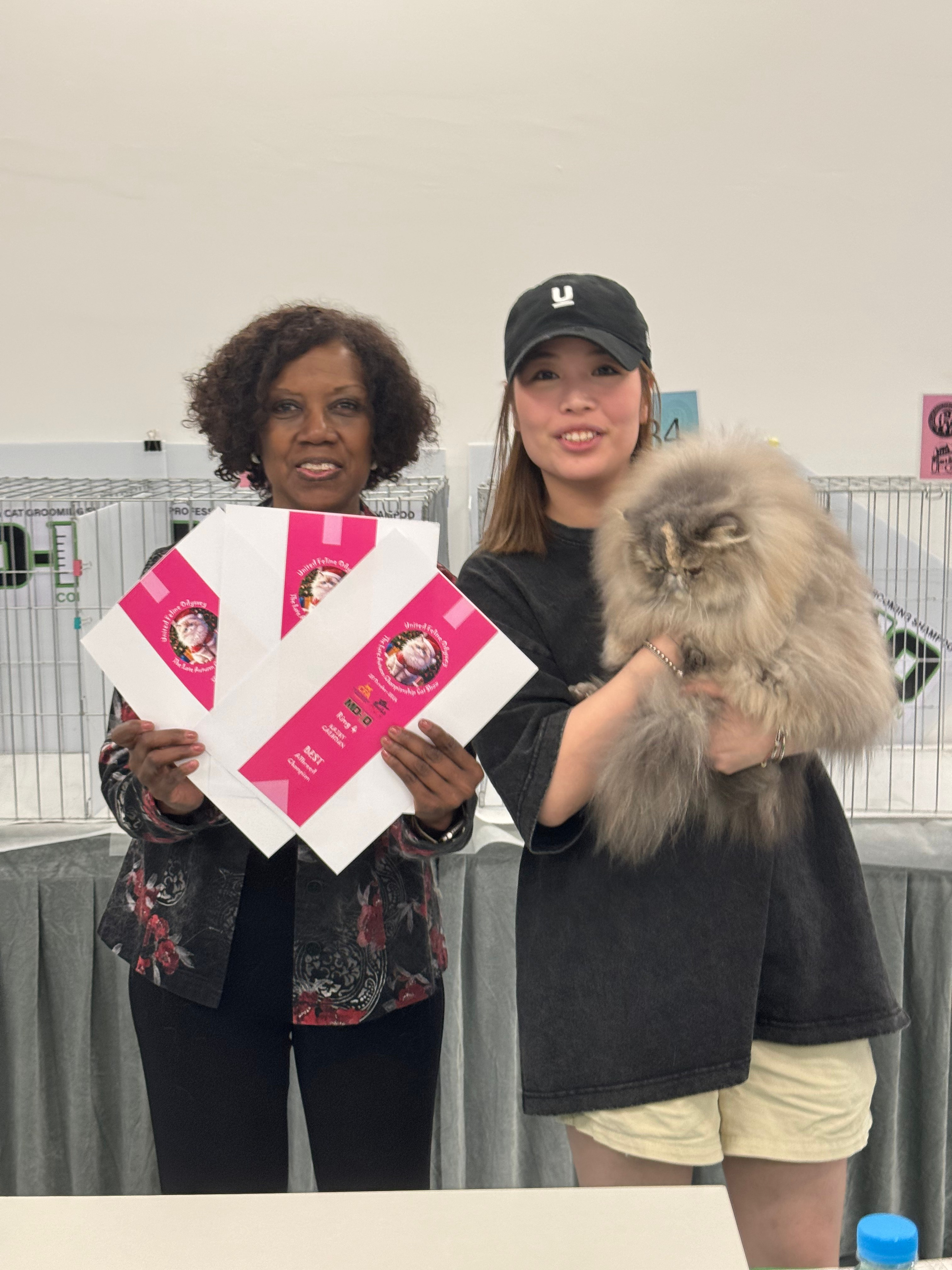 LEMON GREEN SIBERIANS LILA