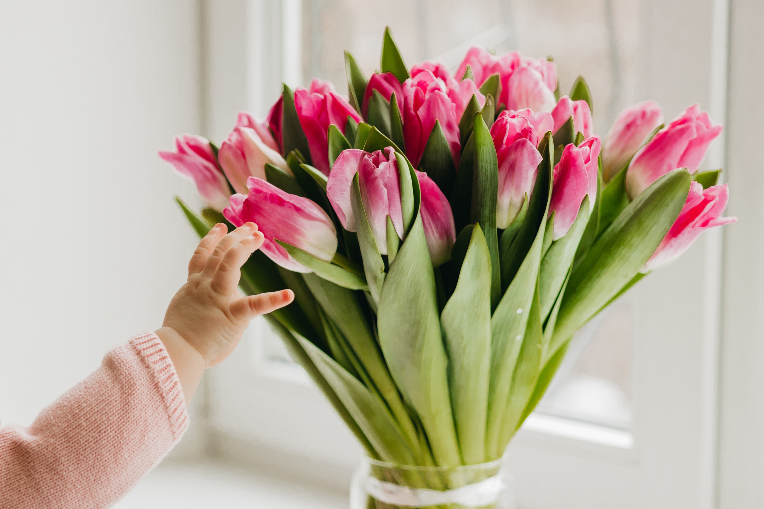 Eva's Birthday. Свадебный и семейный фотограф портретист в Украине Стоганенко Валерия