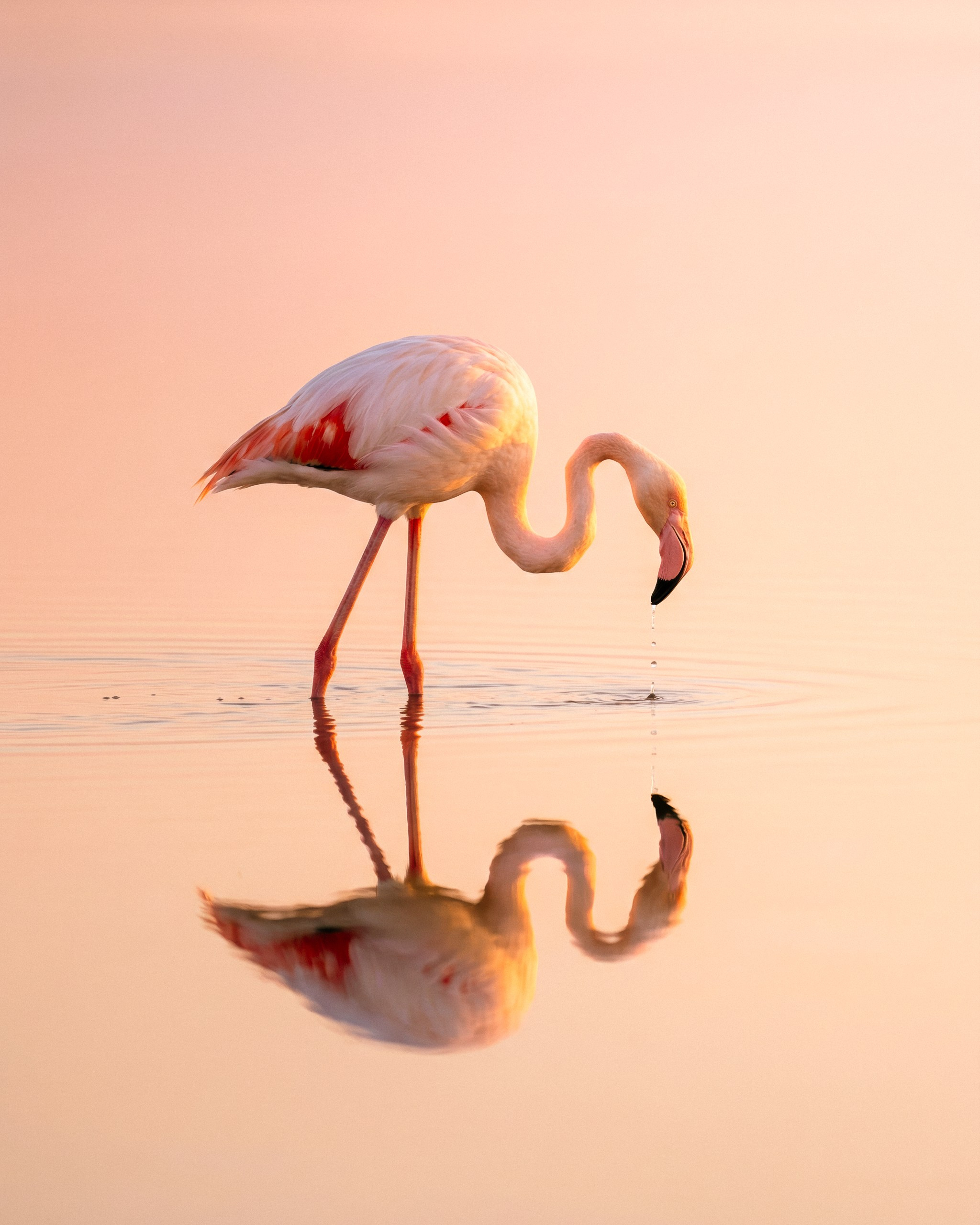 Photos of places around the World