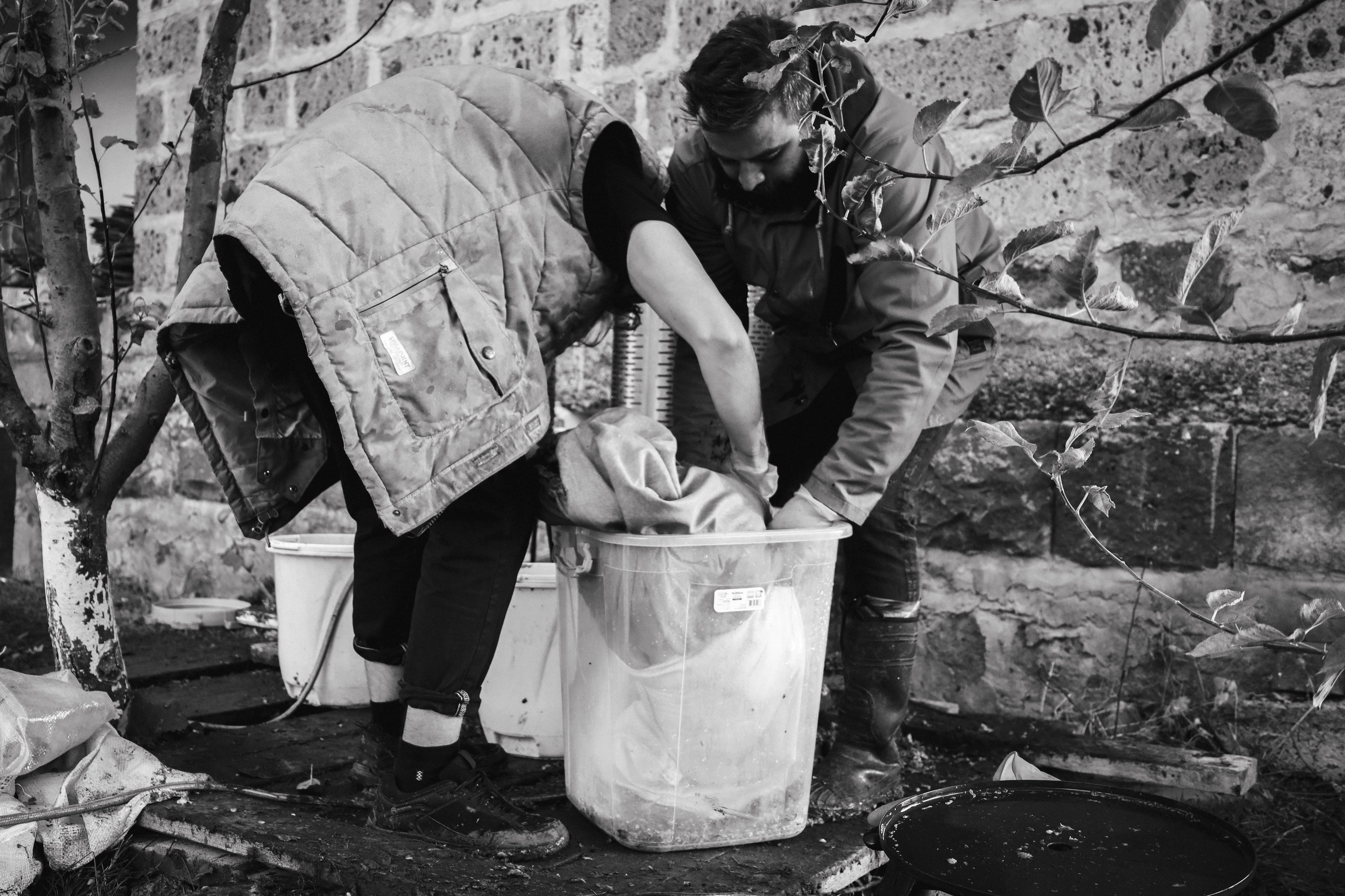 Factory reportage (hand-crafted cider). Asmikiam