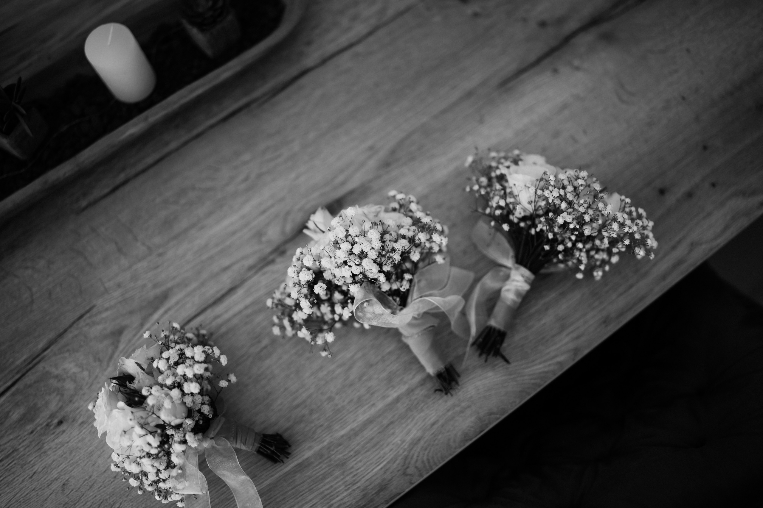 Hochzeit von Joana und Timon