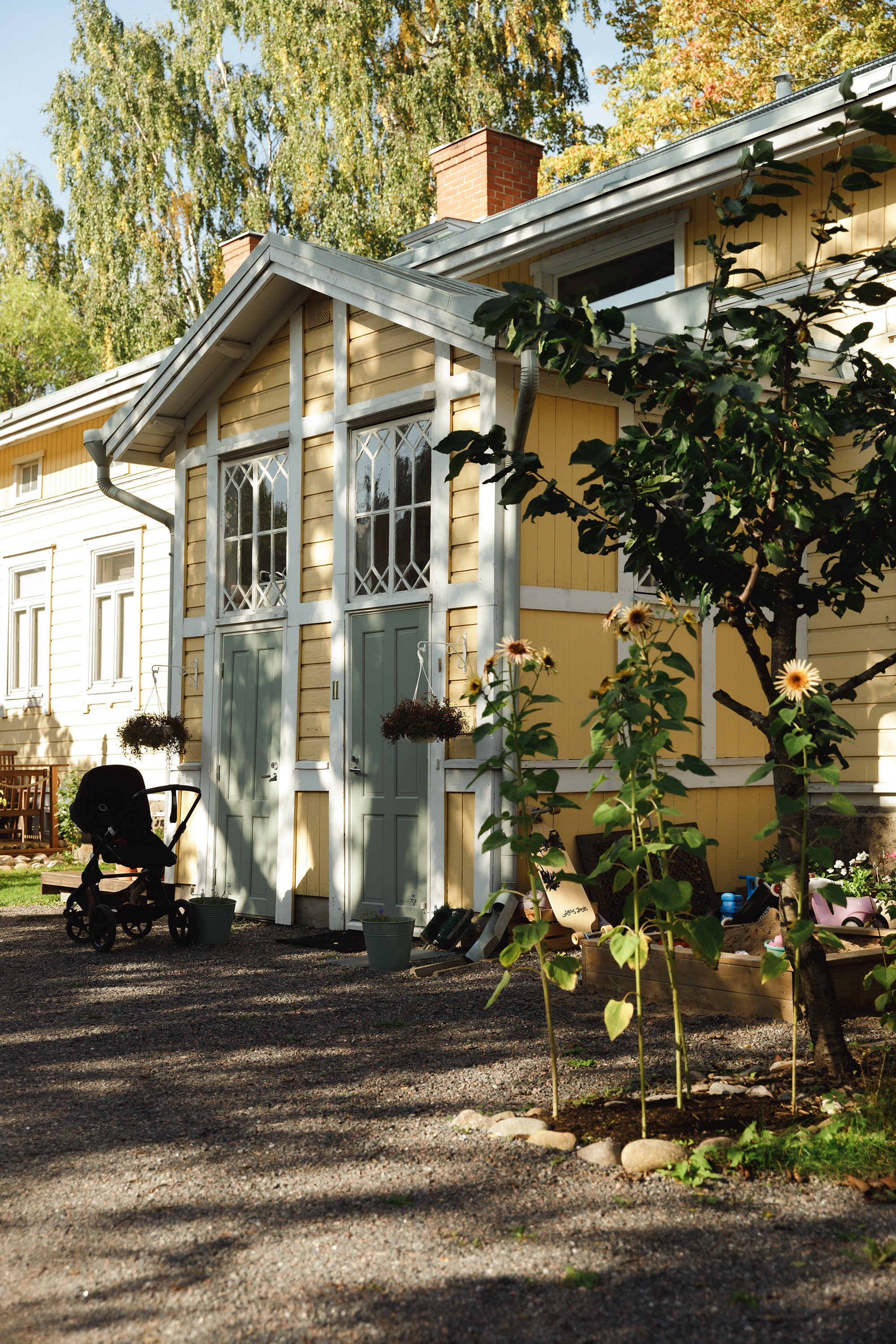 Turku. Kaja | fotograf psów we Wrocławiu