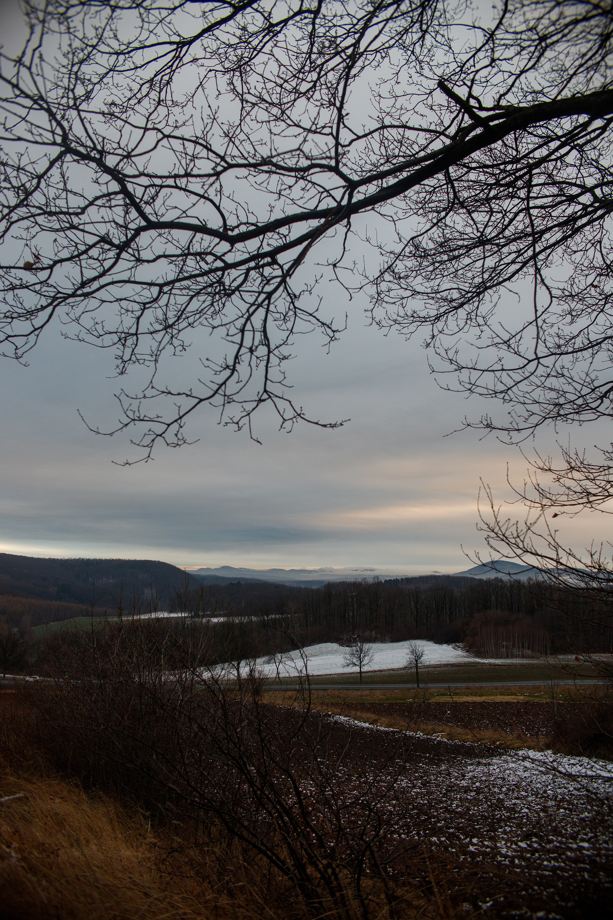 Bolków castle. Kaja | fotograf we Wrocławiu | ludzie i psy