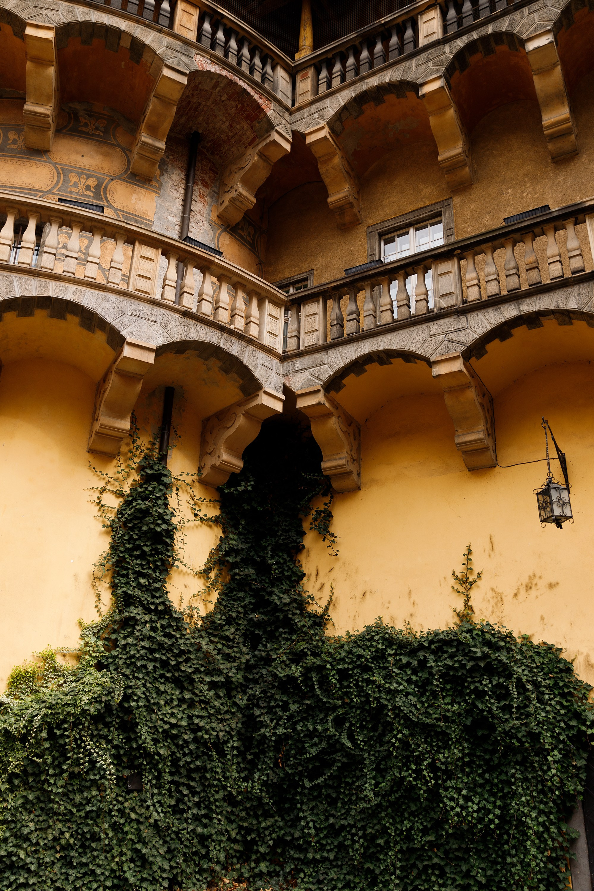 Oleśnica castle. Kaja | fotograf psów we Wrocławiu
