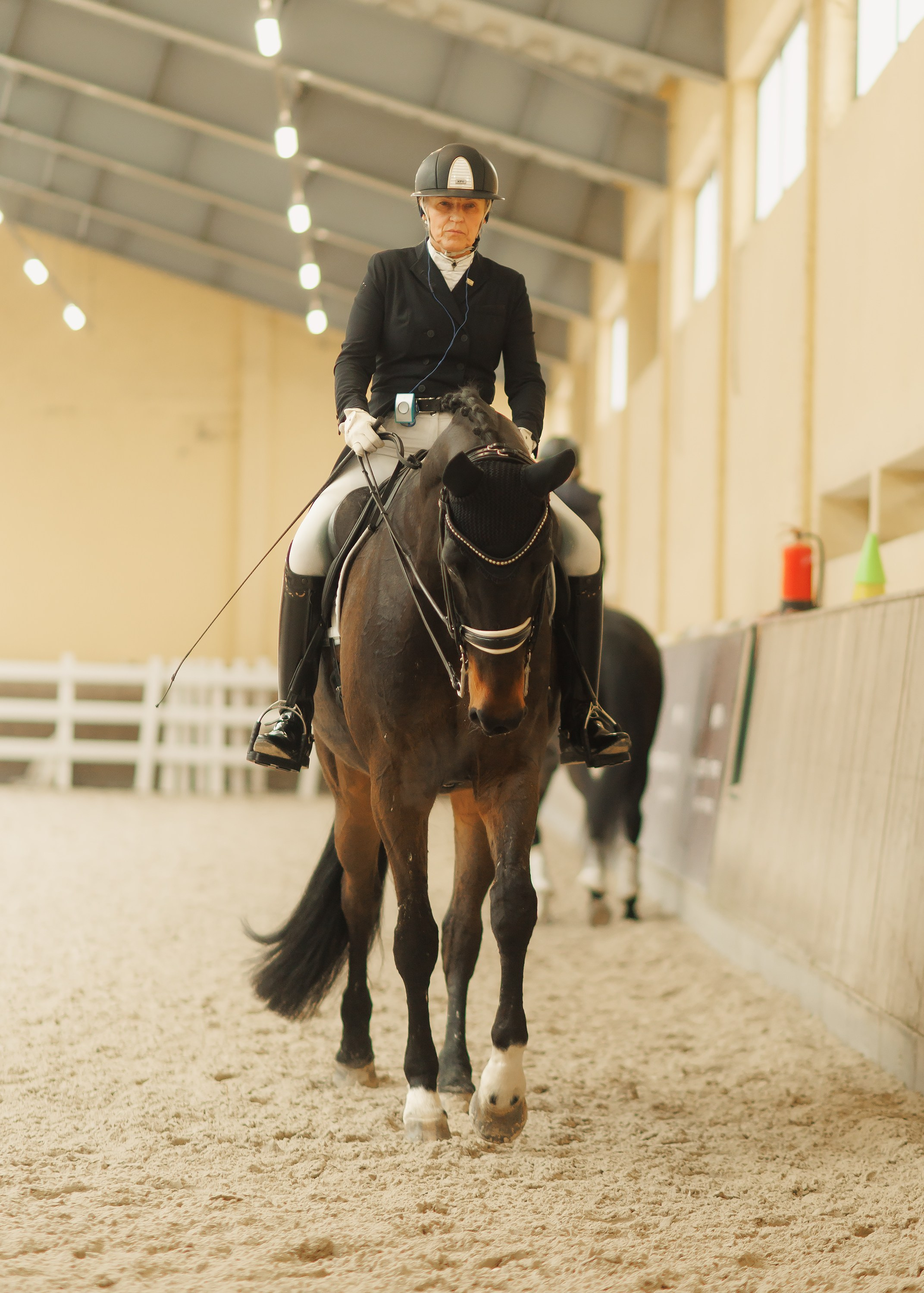 Fotografia koni Wrocław \ ujeżdżenie, Partynice. Kaja | fotograf we Wrocławiu | ludzie i psy