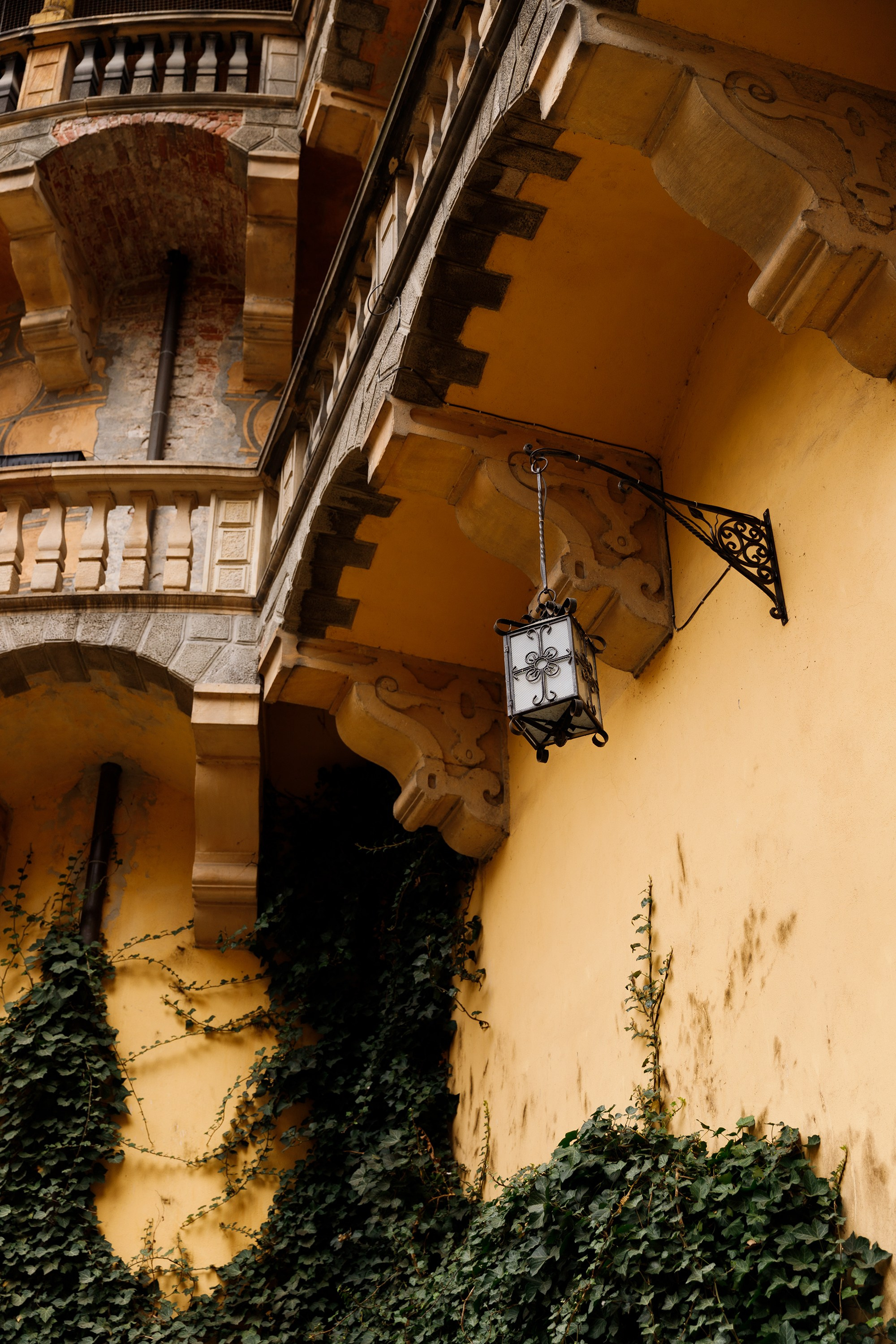 Oleśnica castle. Kaja | fotograf psów we Wrocławiu