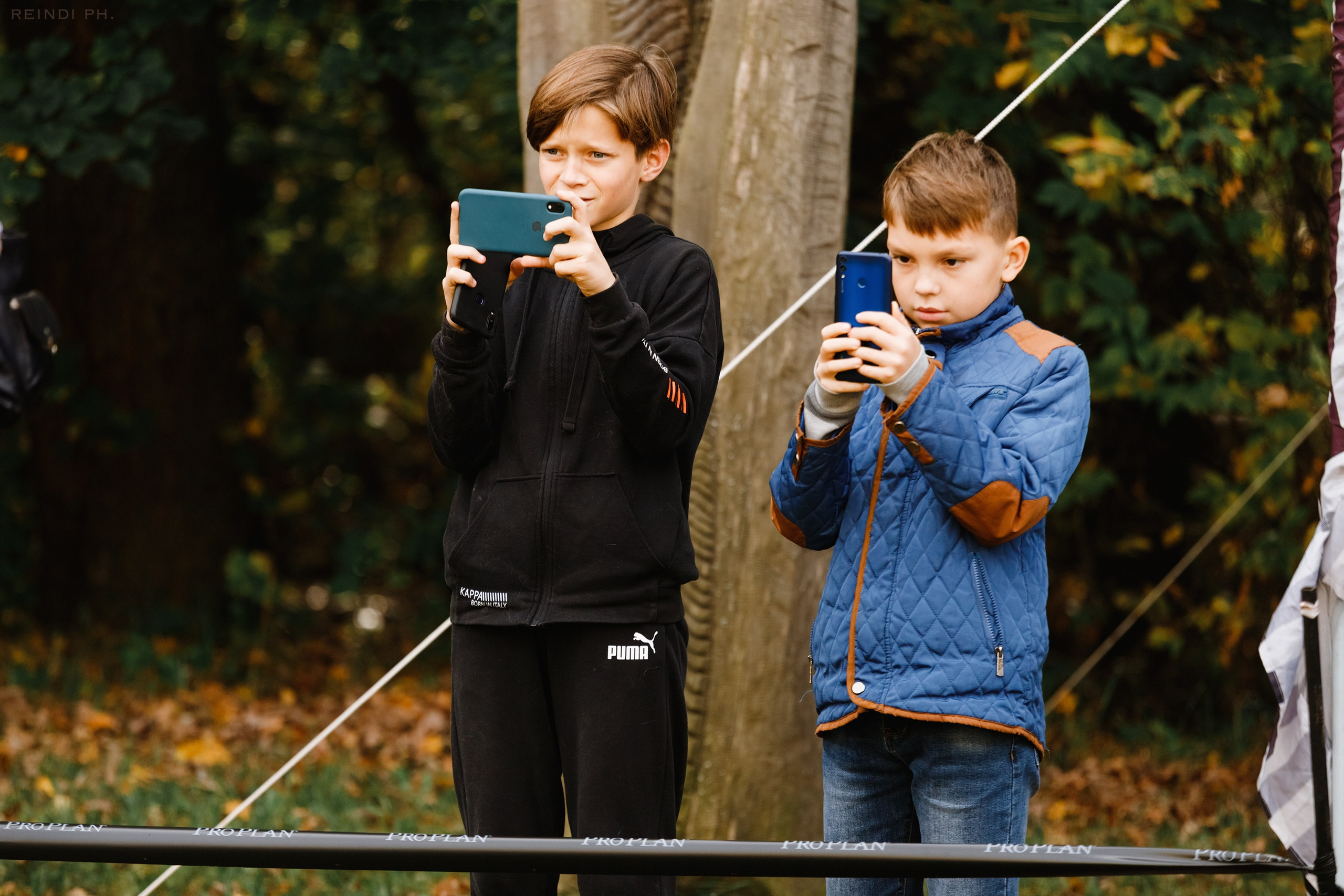 «Argus» dog show in Brest. Kaja | fotograf we Wrocławiu | ludzie i psy