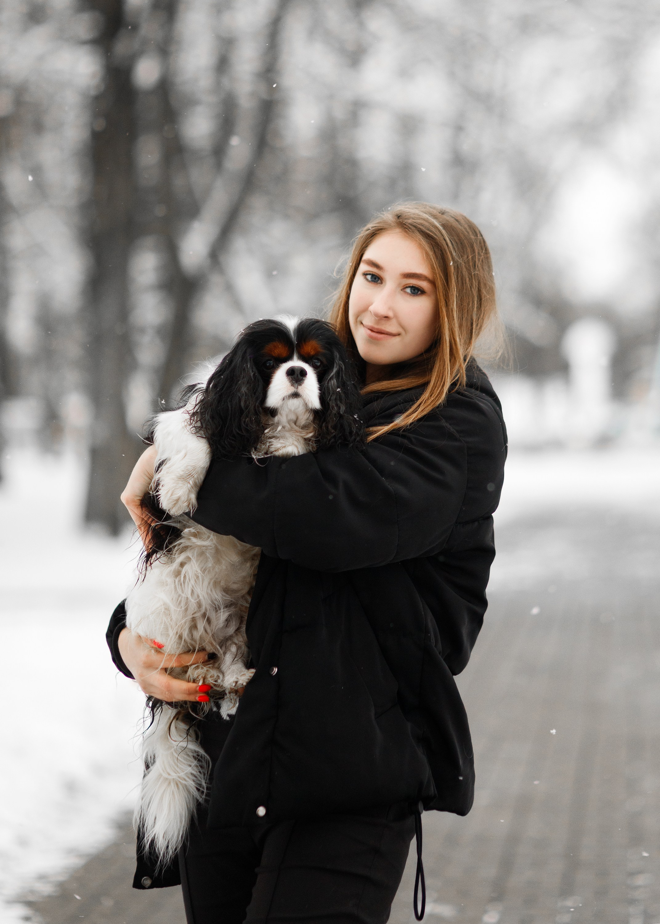 Uliana & winter spaniels. Kaja | fotograf psów we Wrocławiu