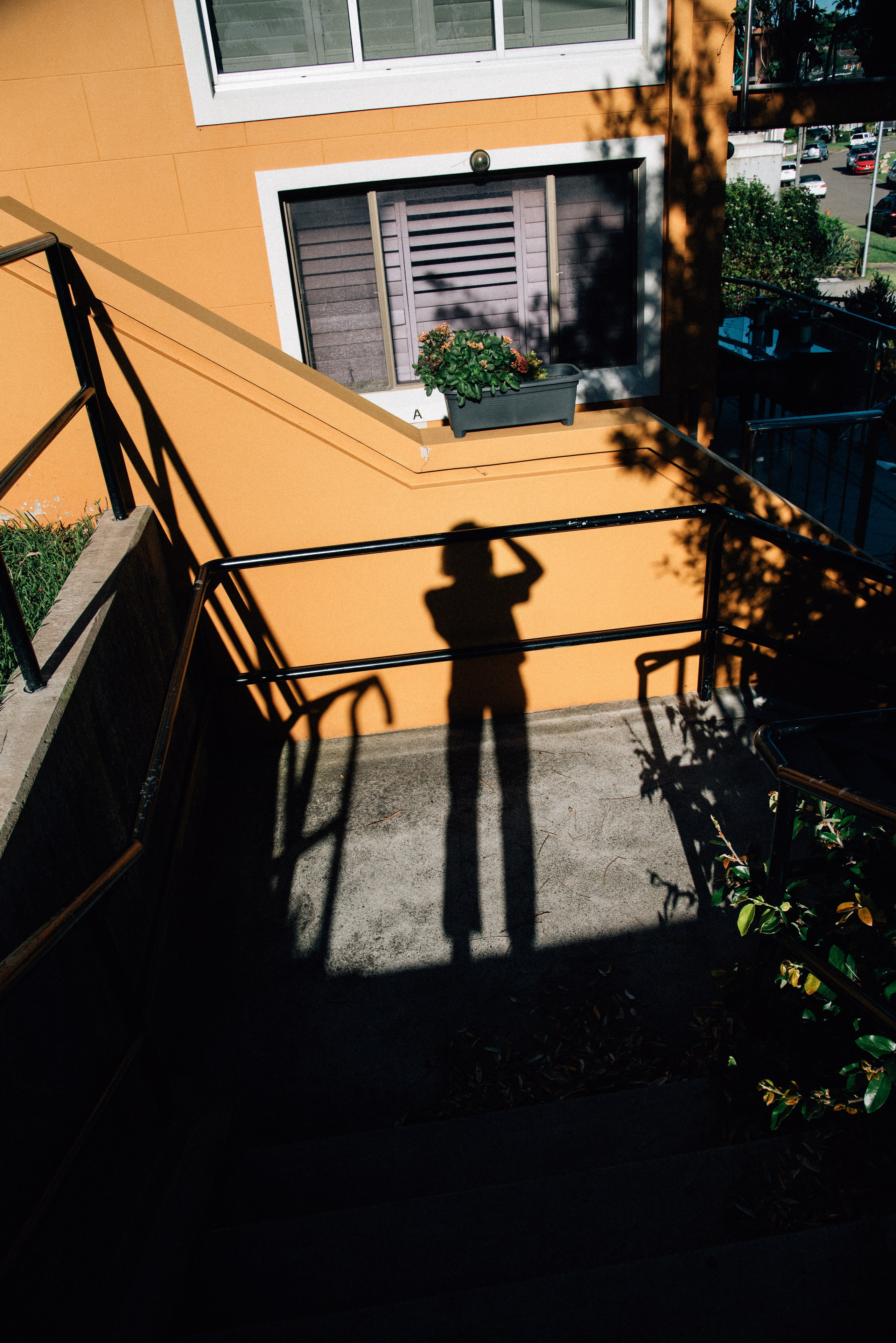 Family, couple and portrait photographer in Gold Coast