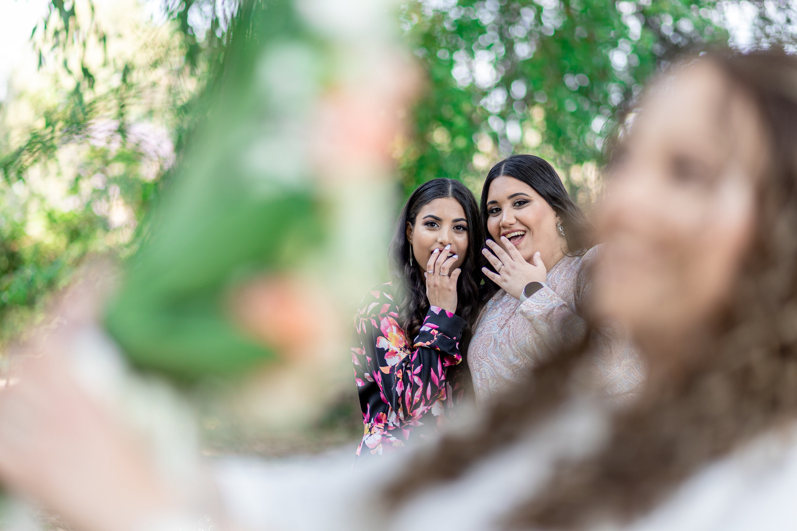 N&C. משה מנשה צלם חתונות