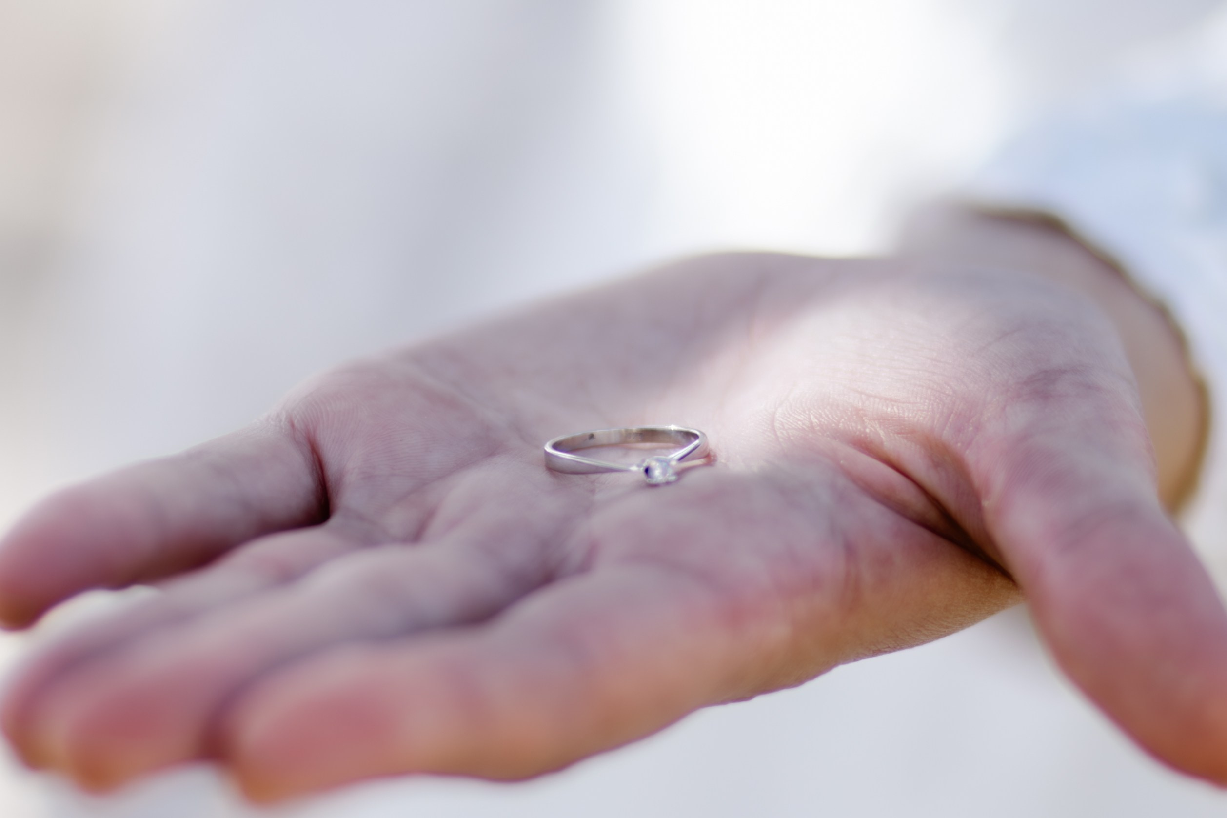 Z&E. משה מנשה צלם חתונות