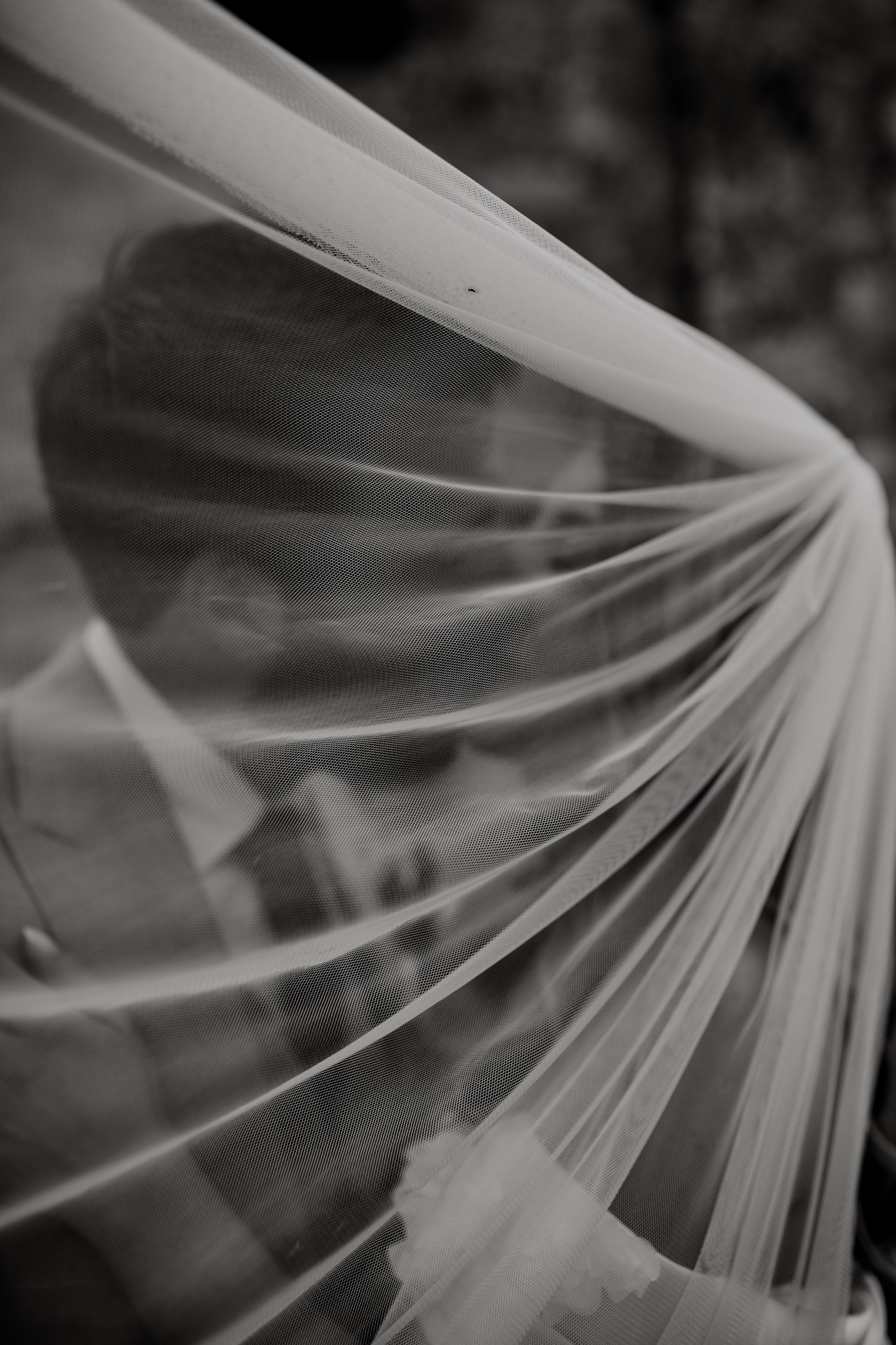 D&A. Wedding & Family photographer Jelena Anđelić