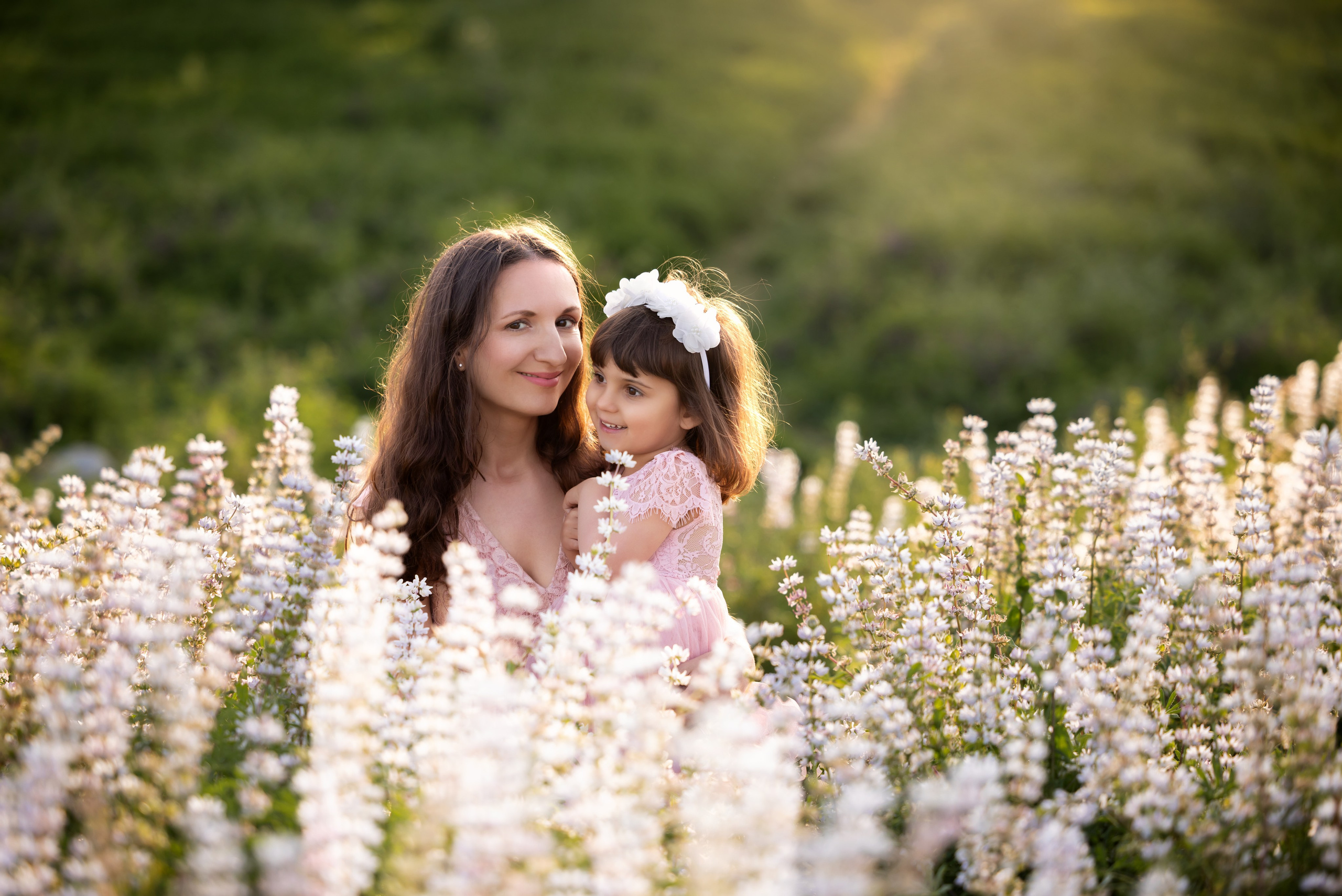 Lupines Story. Photographer is San Jose, Iryna Novosyolova