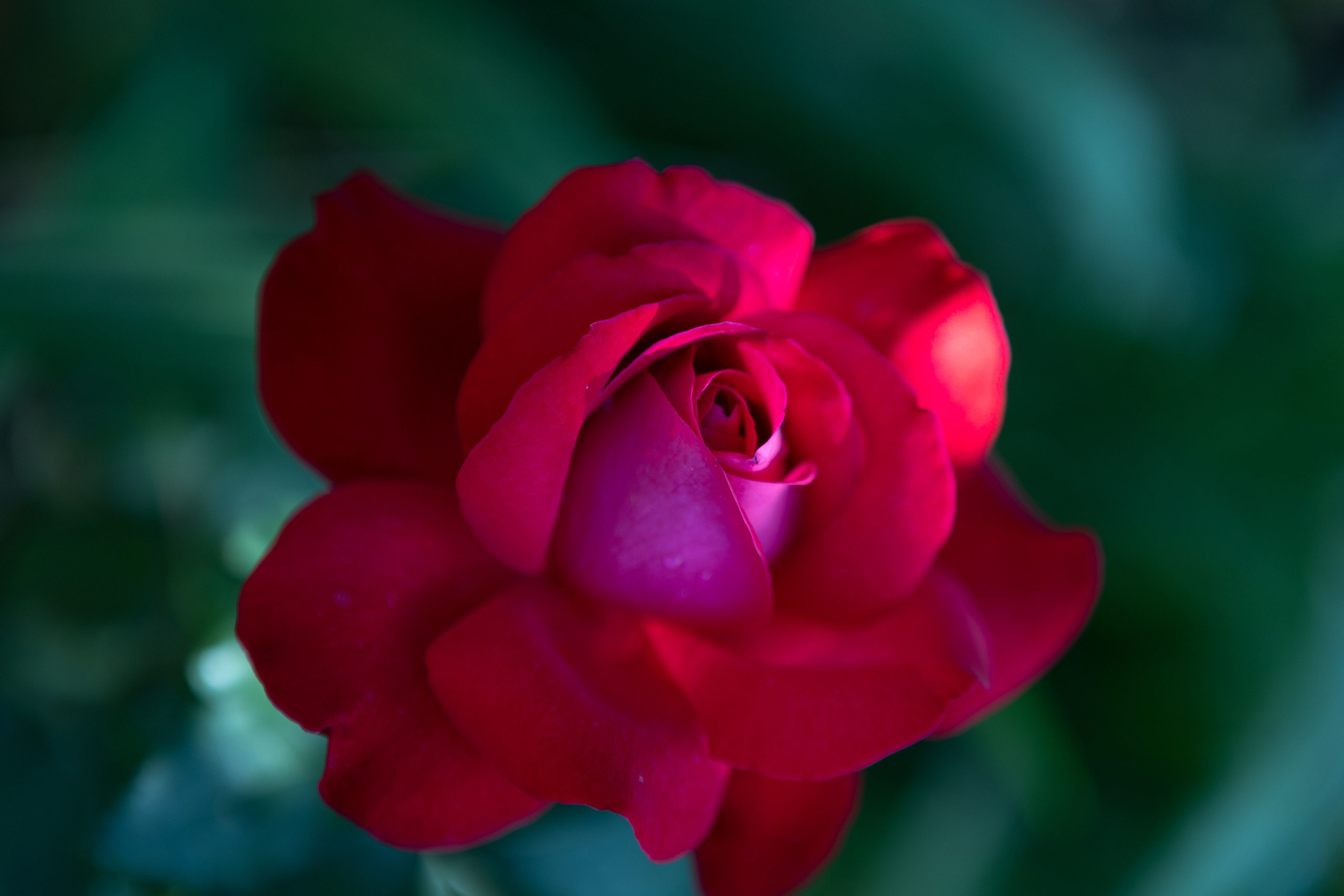 <img src="bild1.jpg" alt="Lindau Insel Fotografie kaufen"><img src="bild2.jpg" alt="Lindau Bodensee Bilder"><img src="bild3.jpg" alt="Lindau Altstadt Fotos kaufen"><img src="bild4.jpg" alt="Lindau Hafen Fotodruck"><img src="bild5.jpg" alt="Lindau Uferpromenade Wandbilder"><img src="bild6.jpg" alt="Lindau Kunstfotografie kaufen"><img src="bild7.jpg" alt="Lindau Leuchtturm und Löwe Bilder"><img src="bild8.jpg" alt="Lindau Innenstadt schöne Bilder"><img src="bild9.jpg" alt="Lindau Landschaftsfotografie kaufen"><img src="bild10.jpg" alt="Lindau Bodensee Fotos als Deko">