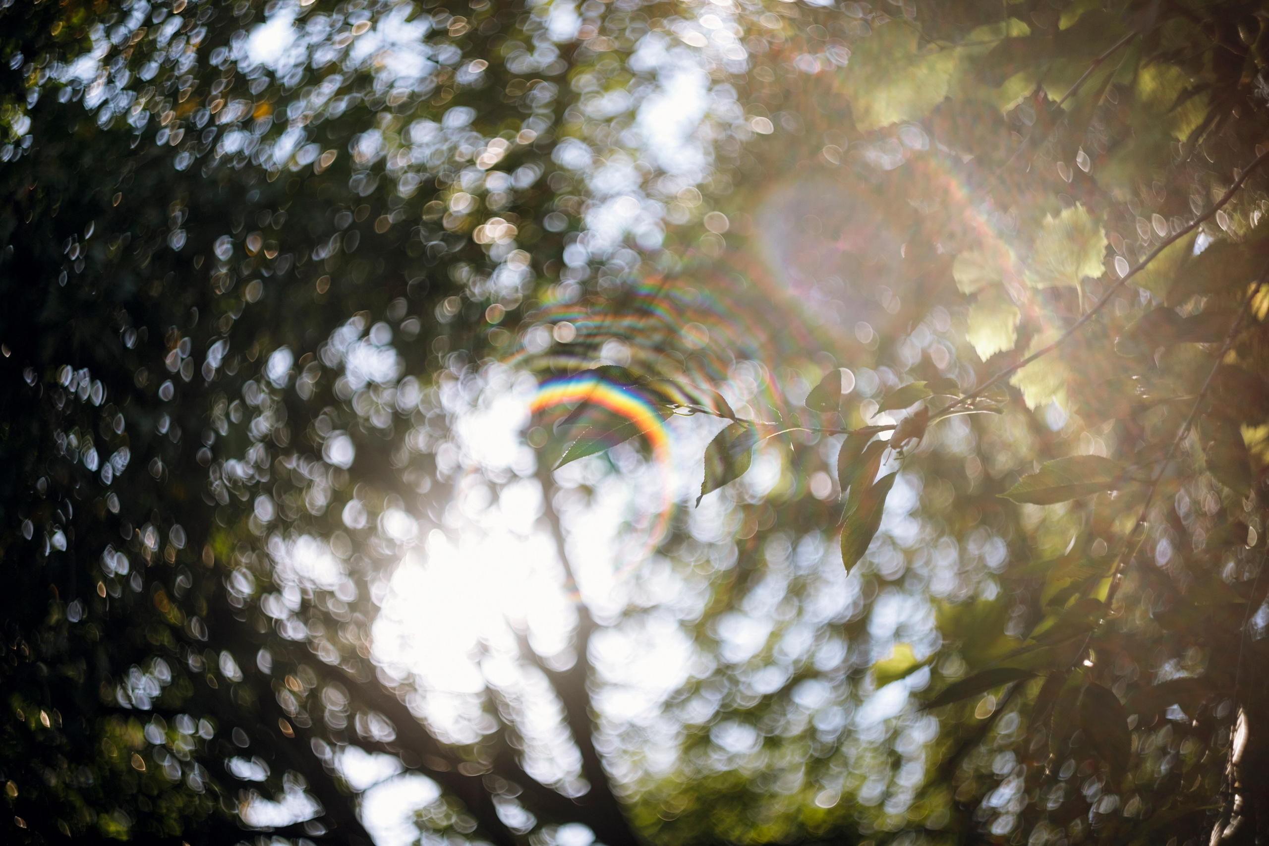 Grandmother's home in Brest. Kaja | fotograf we Wrocławiu | ludzie i psy