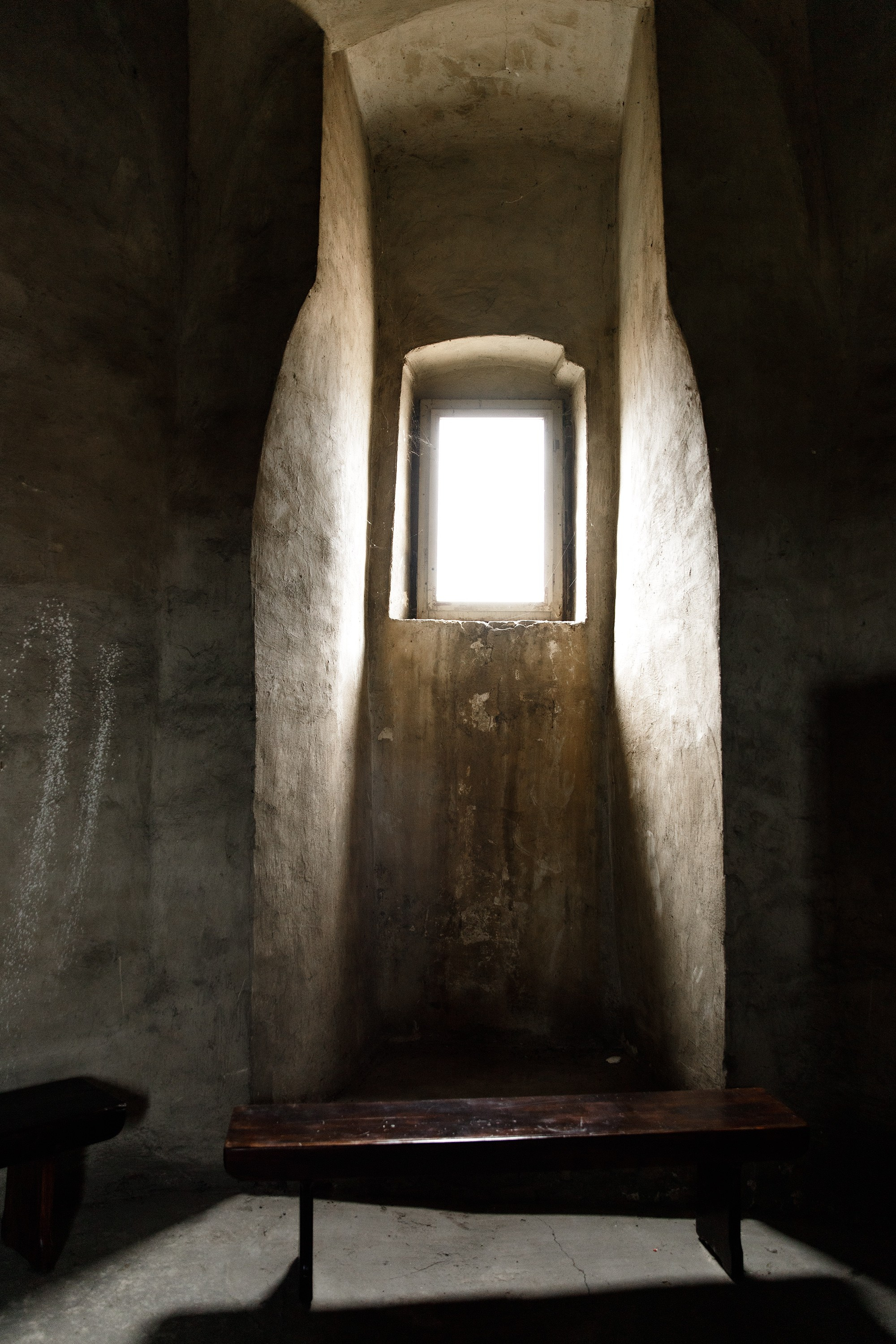 Oleśnica castle. Kaja | fotograf psów we Wrocławiu