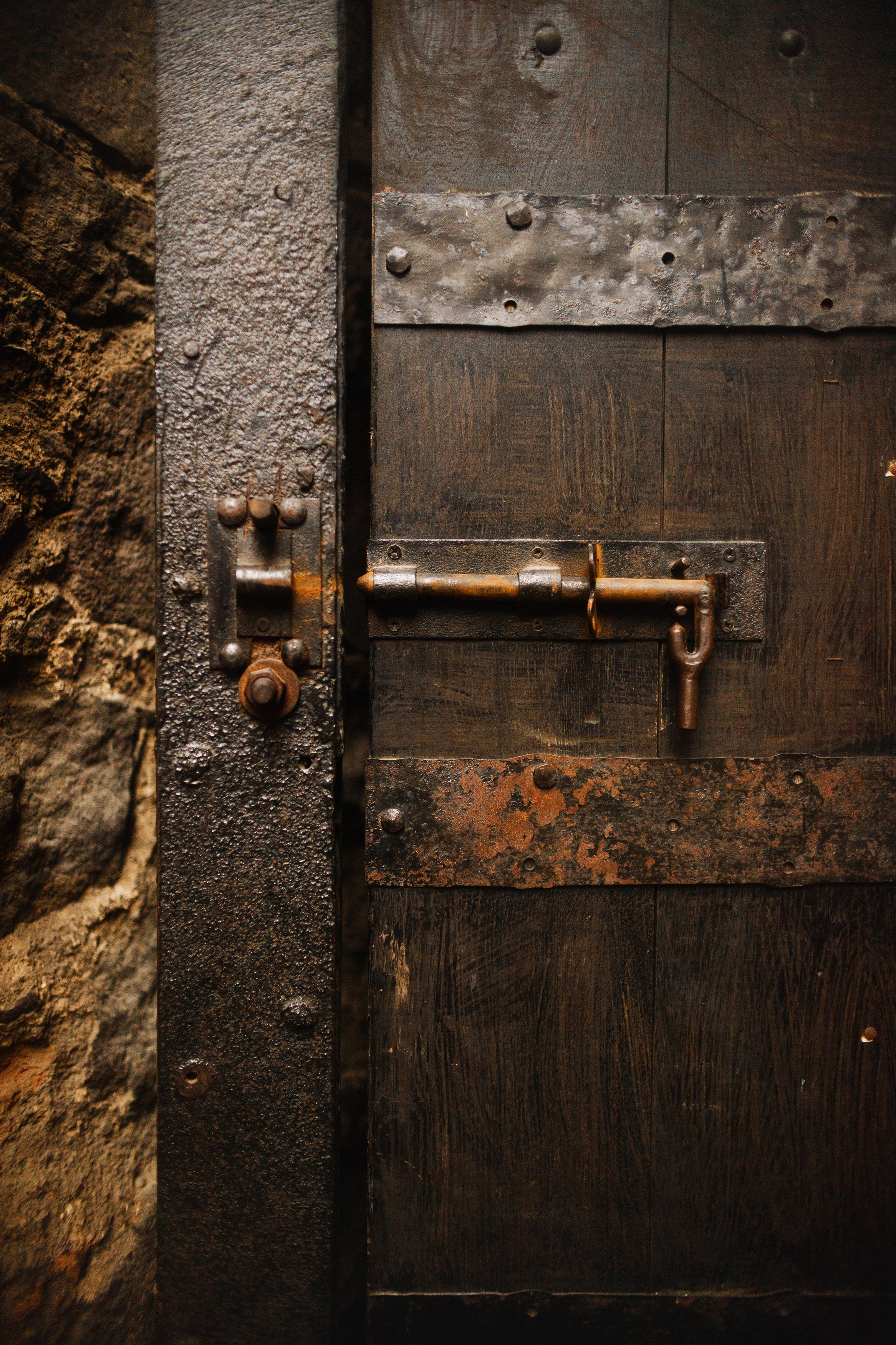 Zamek Grodziec. Kaja | fotograf psów we Wrocławiu