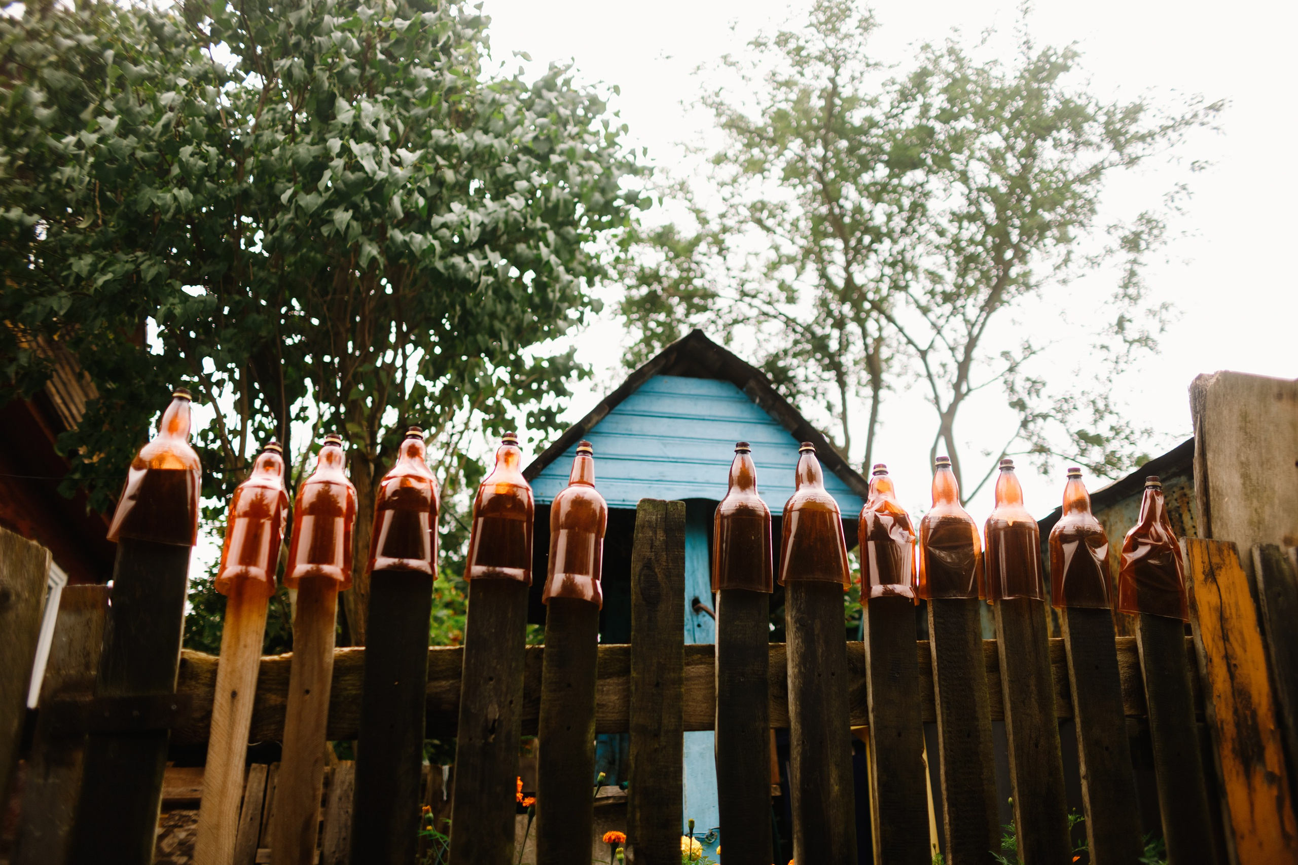 Grodno. Kaja | fotograf we Wrocławiu | ludzie i psy
