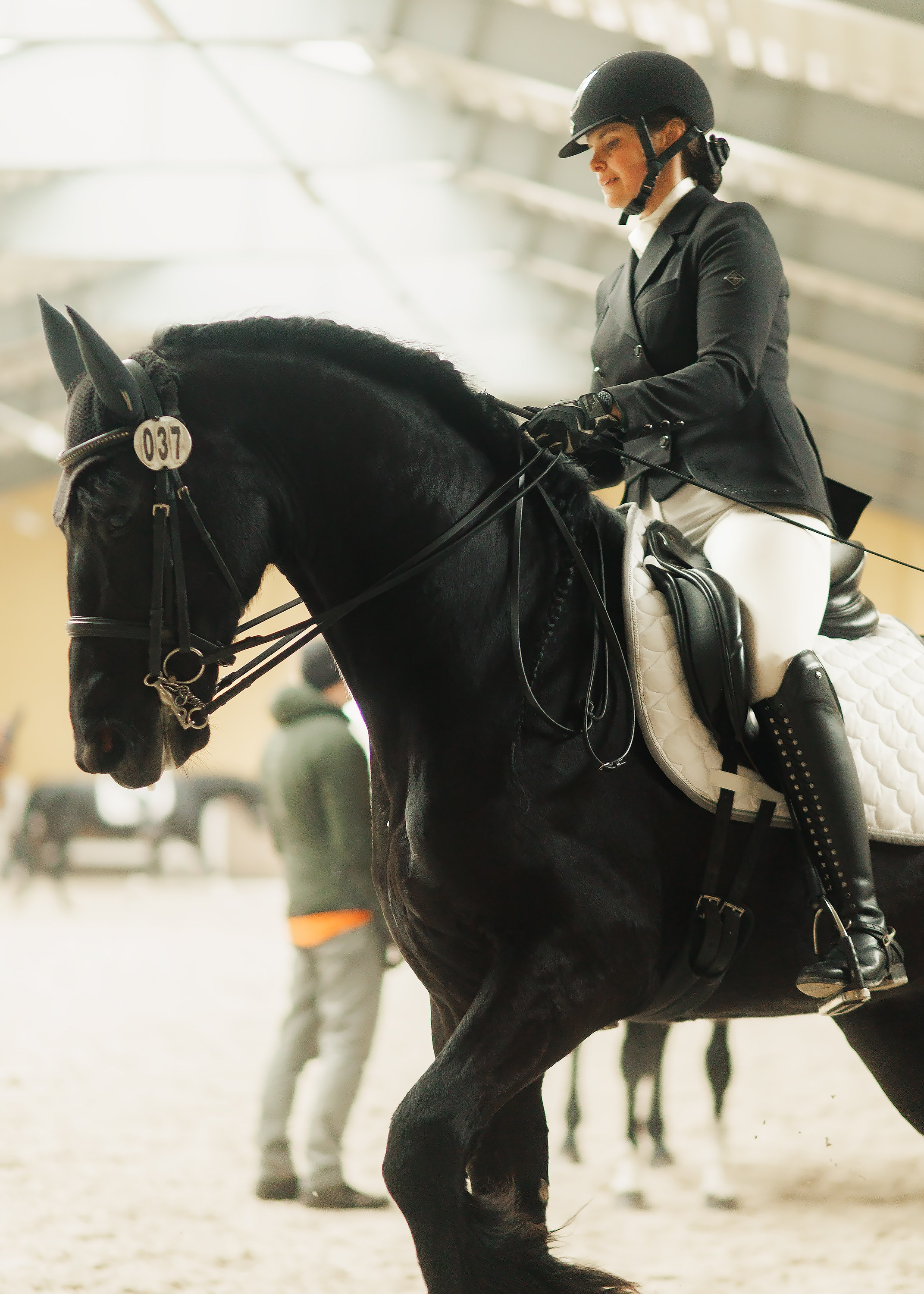 Fotografia koni Wrocław \ ujeżdżenie, Partynice. Kaja | fotograf we Wrocławiu | ludzie i psy