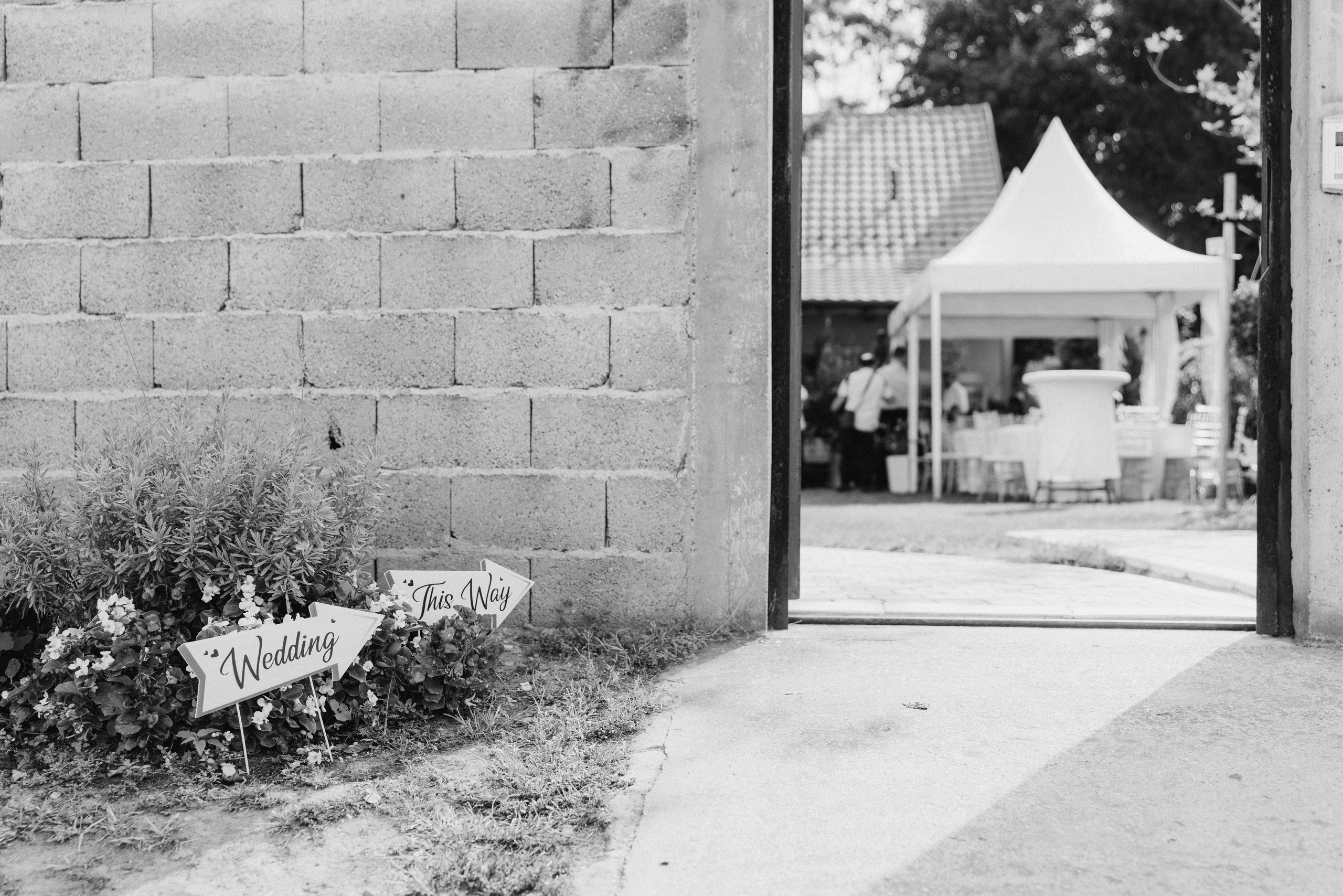 Nevena i Đorđe - Venčanje u Royal Gardenu - Čačak. Milan Lukovic professional wedding photographer