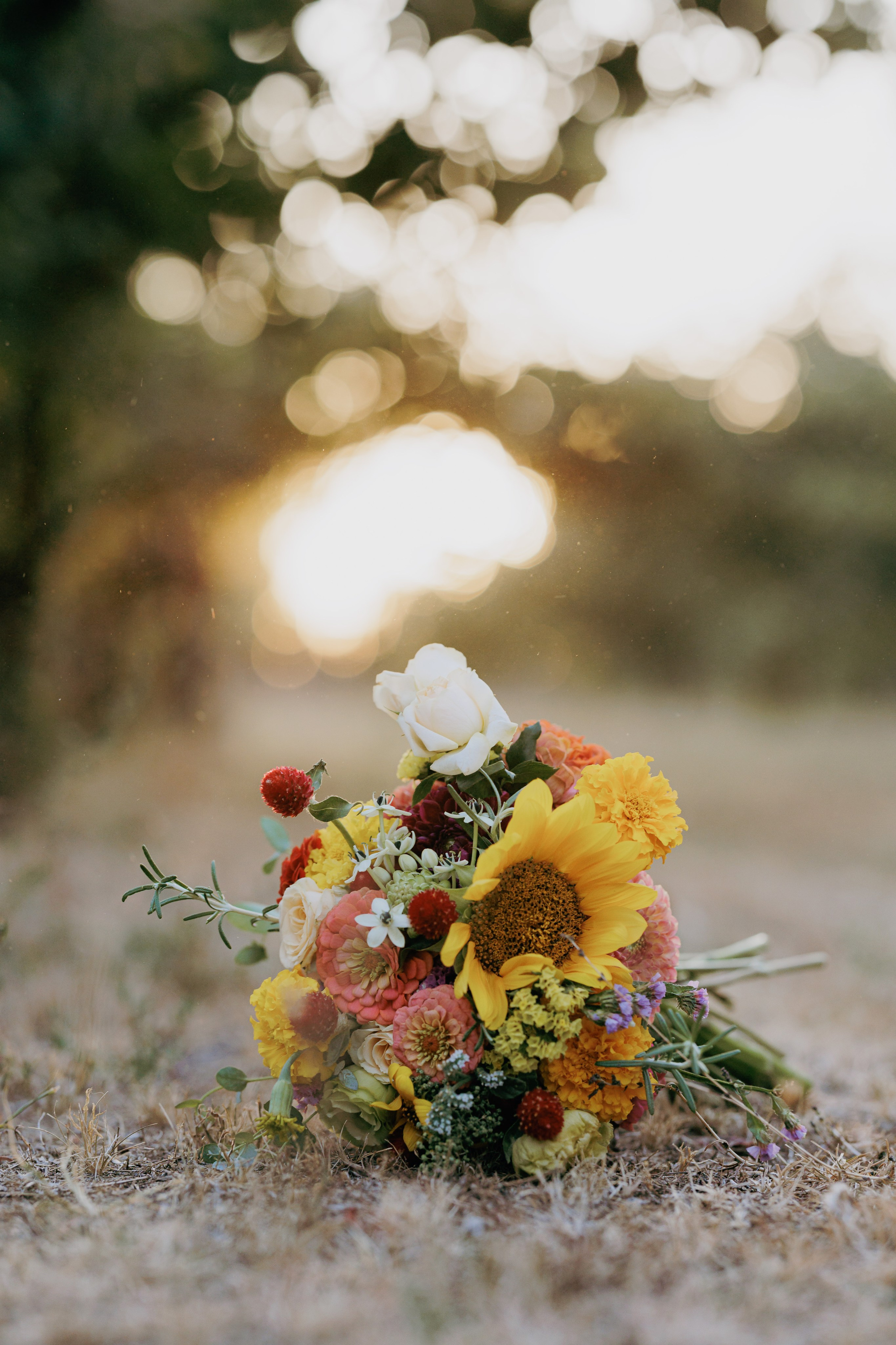 Tanja i Mihajlo - Venčanje na Salašu „Miris dunja” (Farma 47). Milan Lukovic professional wedding photographer