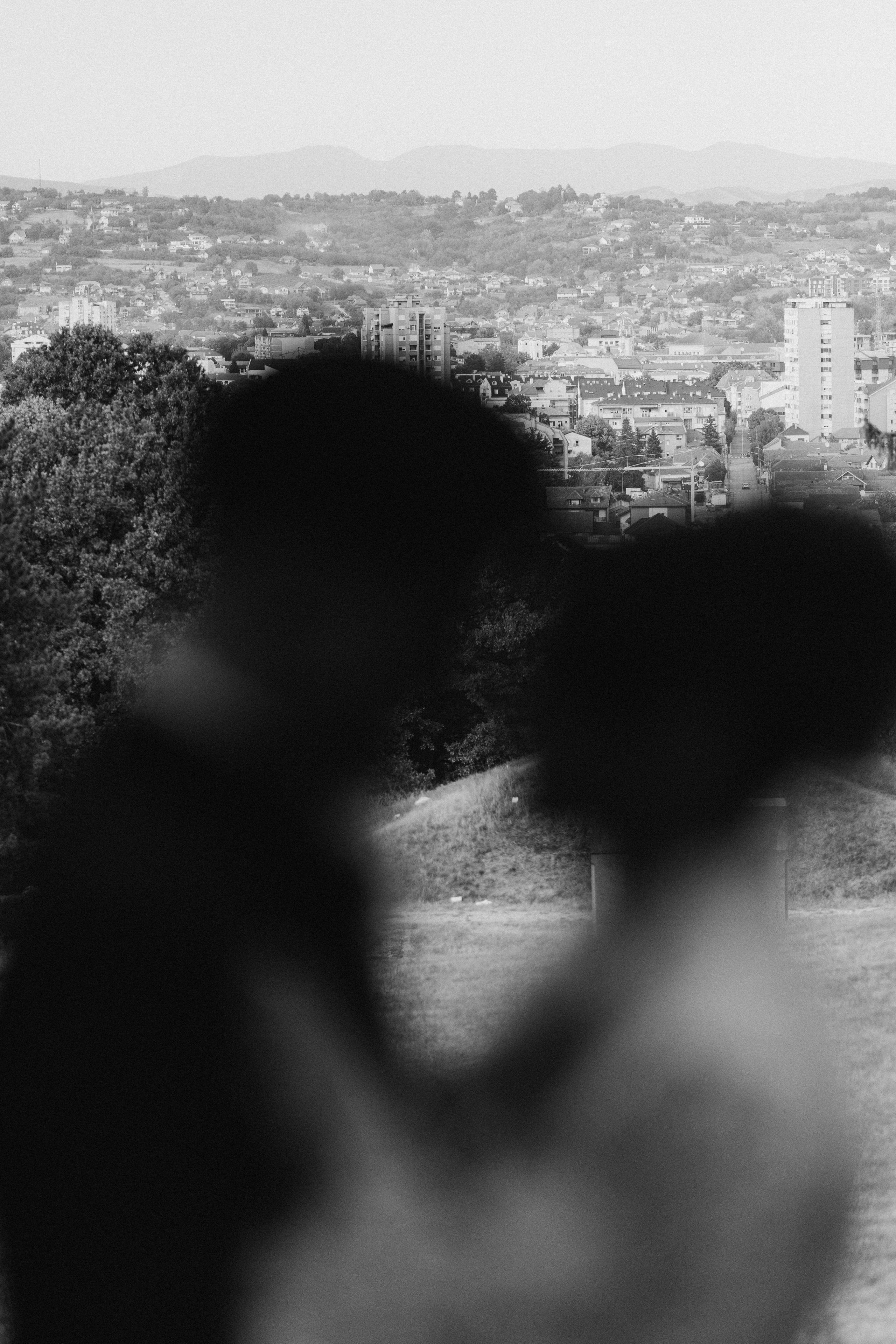 Nevena i Đorđe - Venčanje u Royal Gardenu - Čačak. Milan Lukovic professional wedding photographer