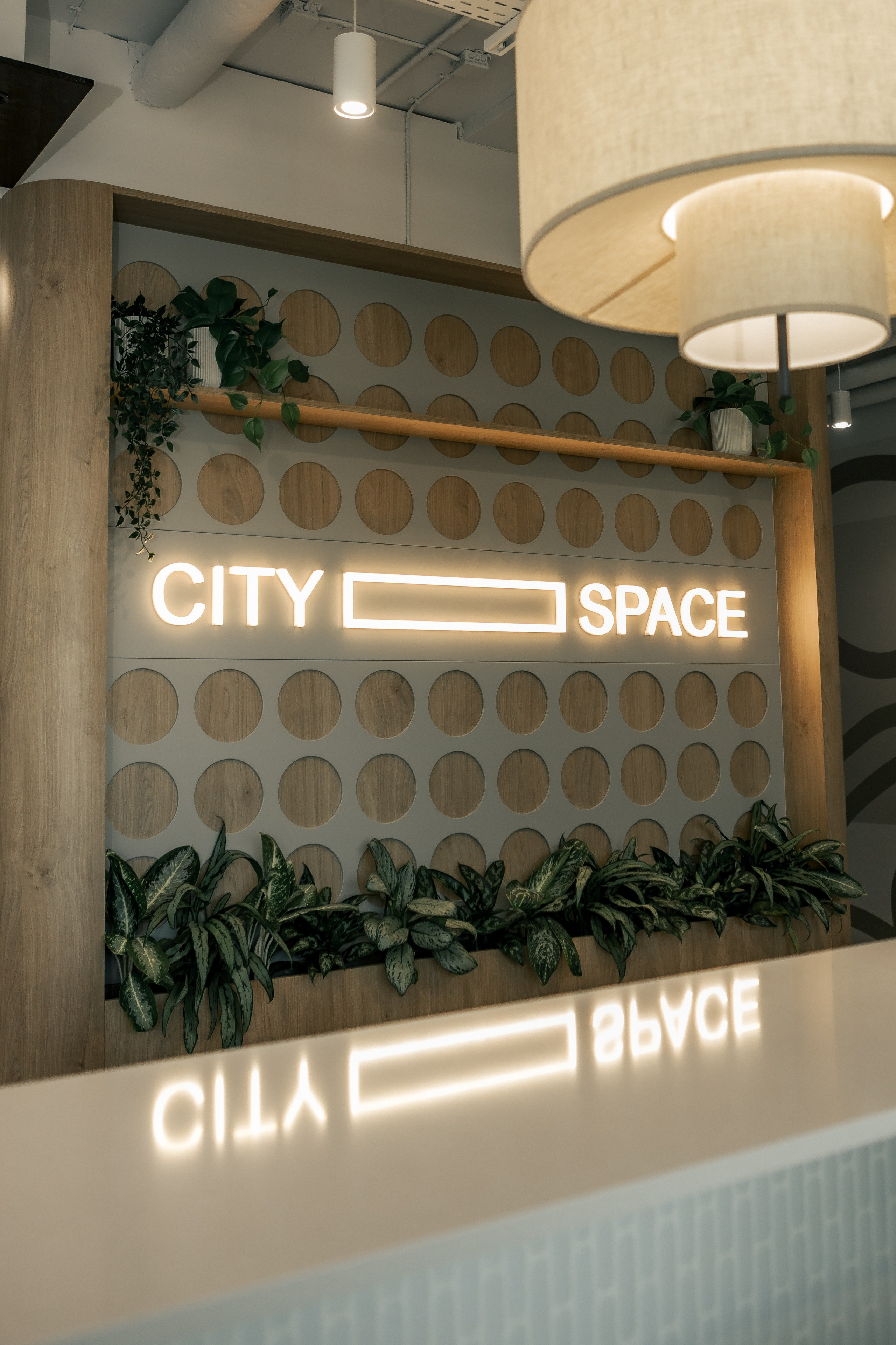 Korporacja JLL. Reportaż. Fotograf w Krakowie i Europie