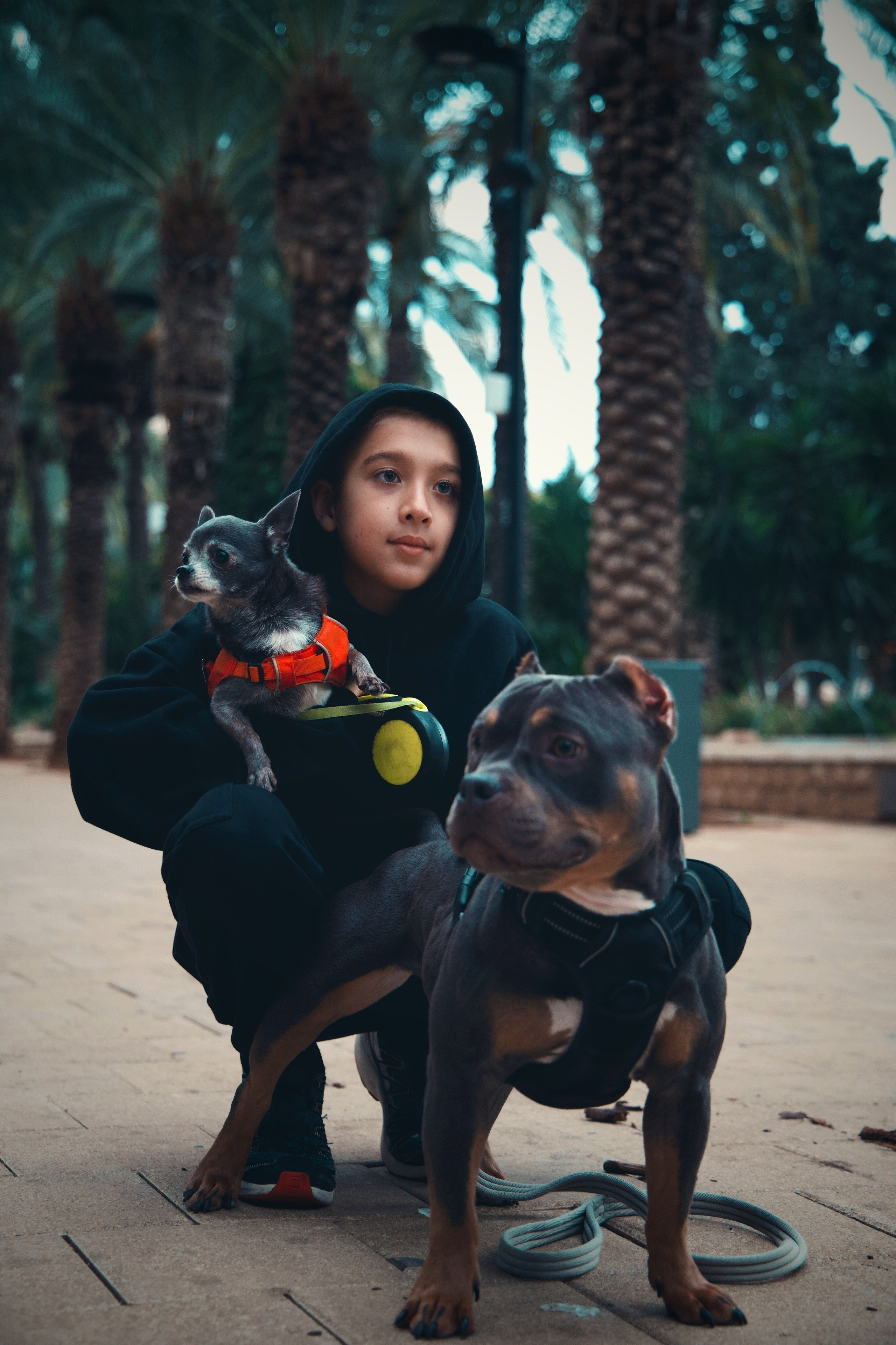 Семейная. Photo__Vladi