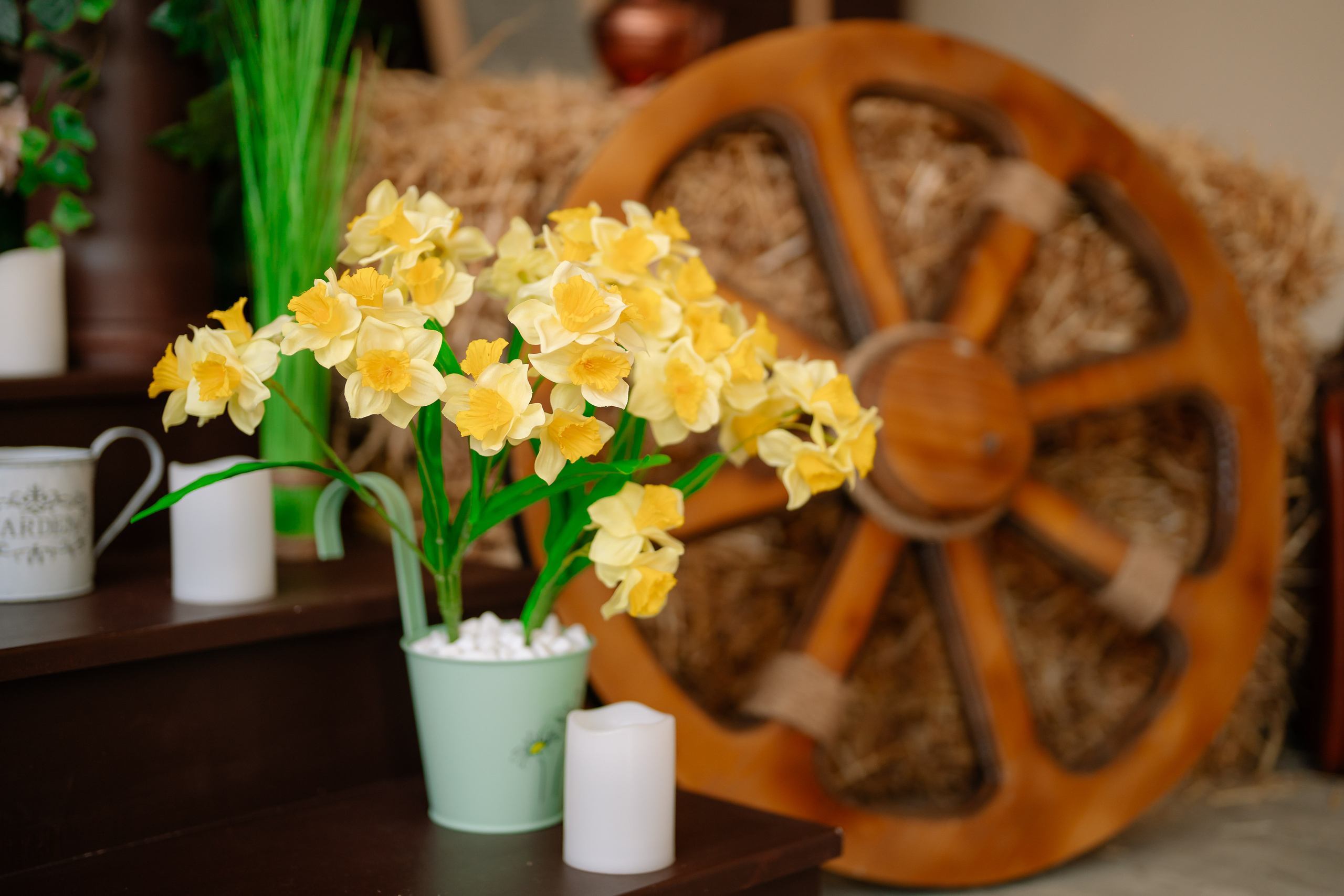 Primăvara — Toamna 2023. Diana Muntean Photography