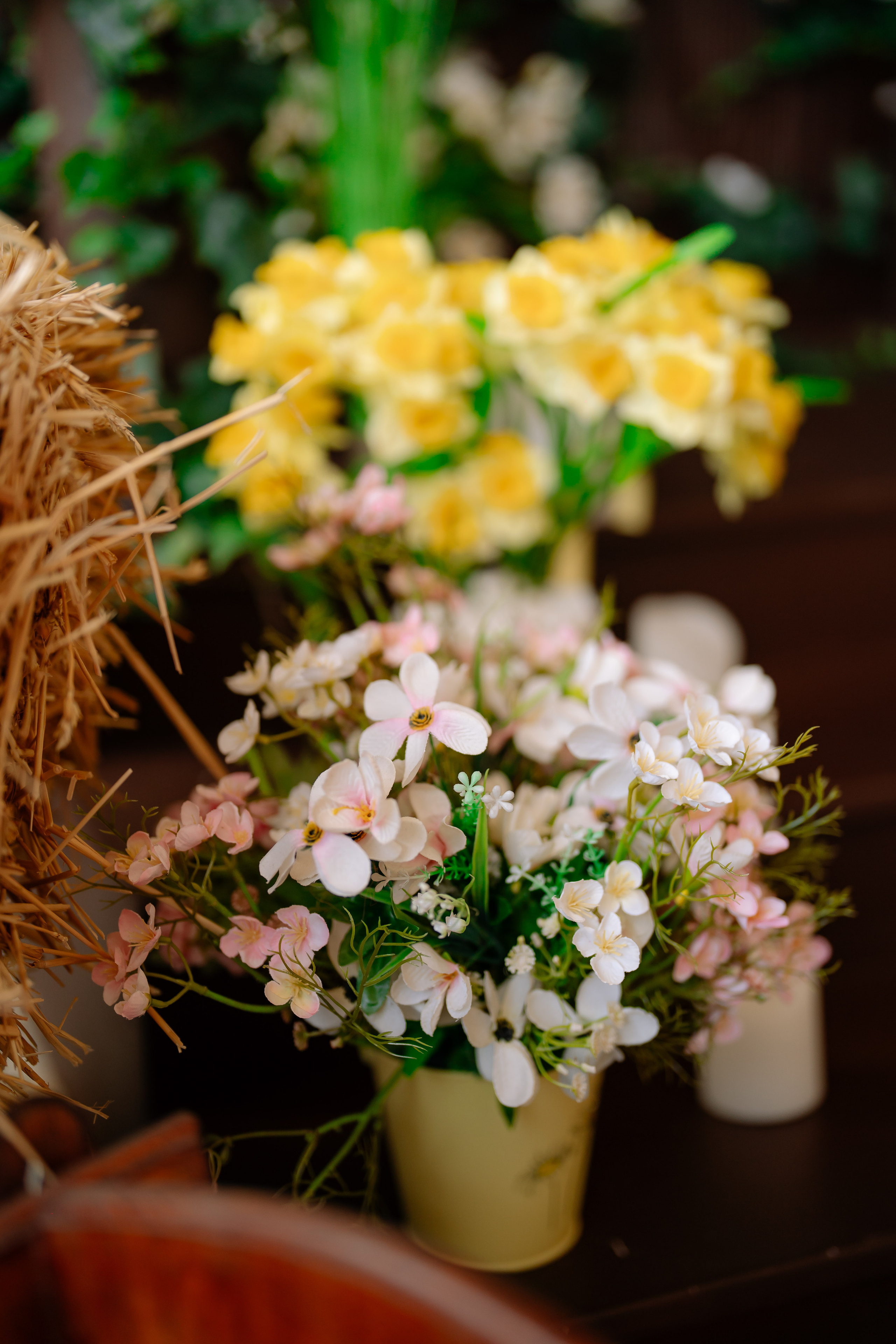 Primăvara — Toamna 2023. Diana Muntean Photography