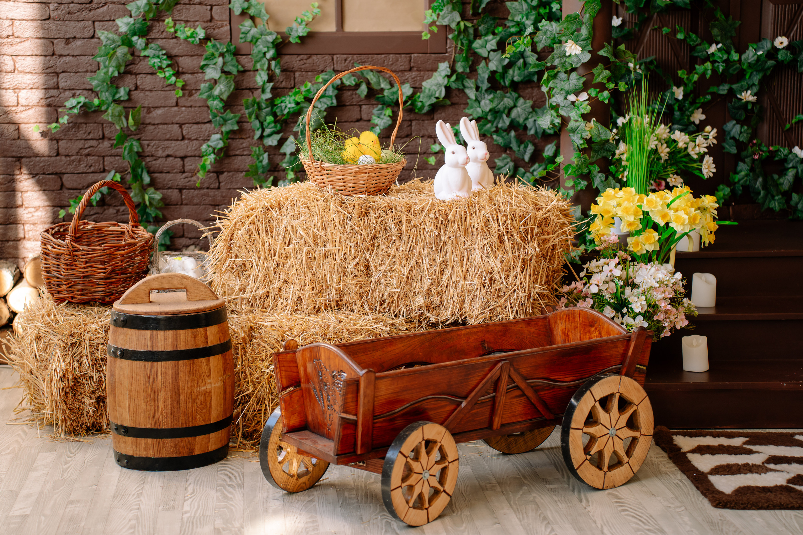 Primăvara — Toamna 2023. Diana Muntean Photography