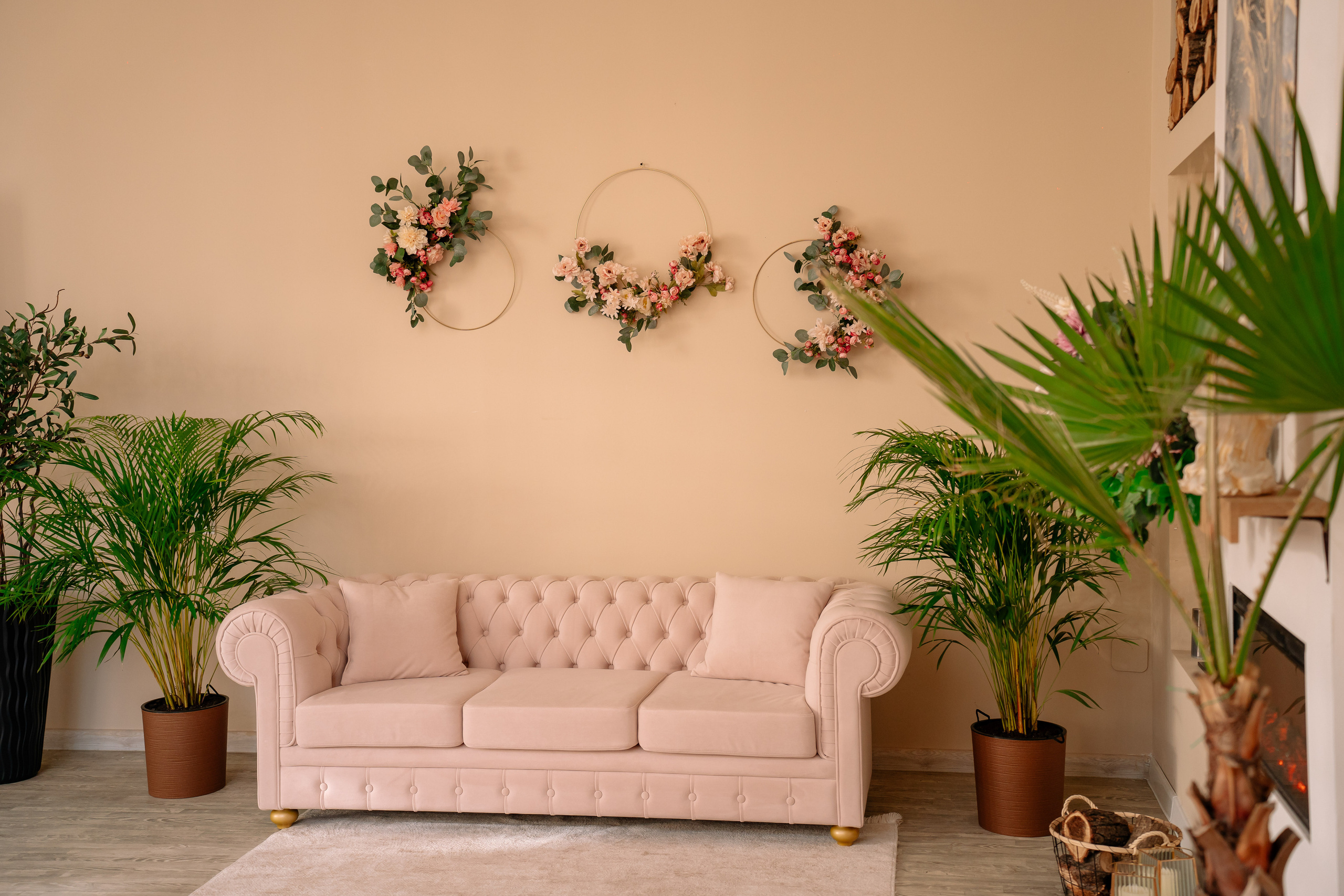 Primăvara — Toamna 2023. Diana Muntean Photography