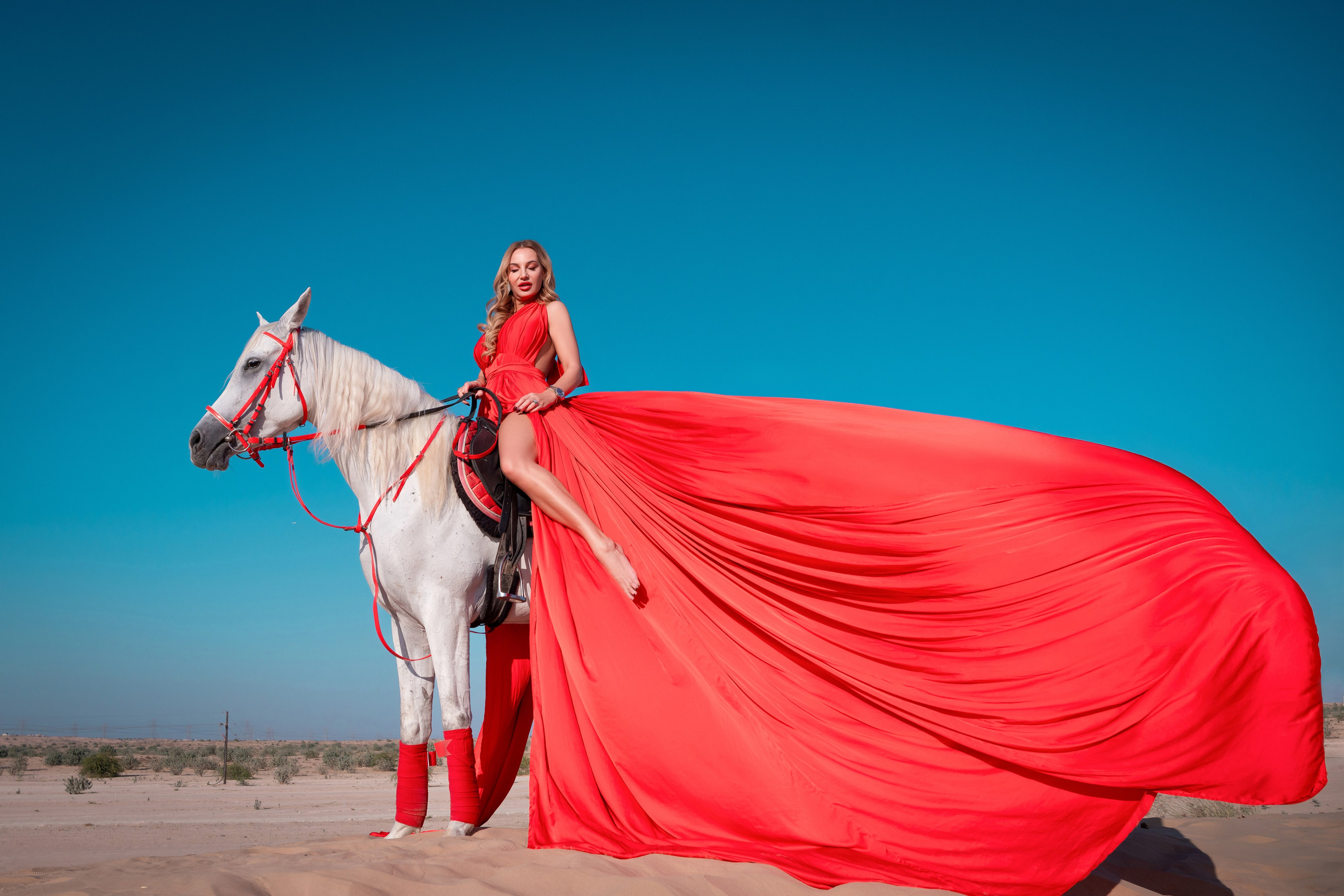 With horses and camels. Photographer and videographer in Dubai Dmitry Gromov
