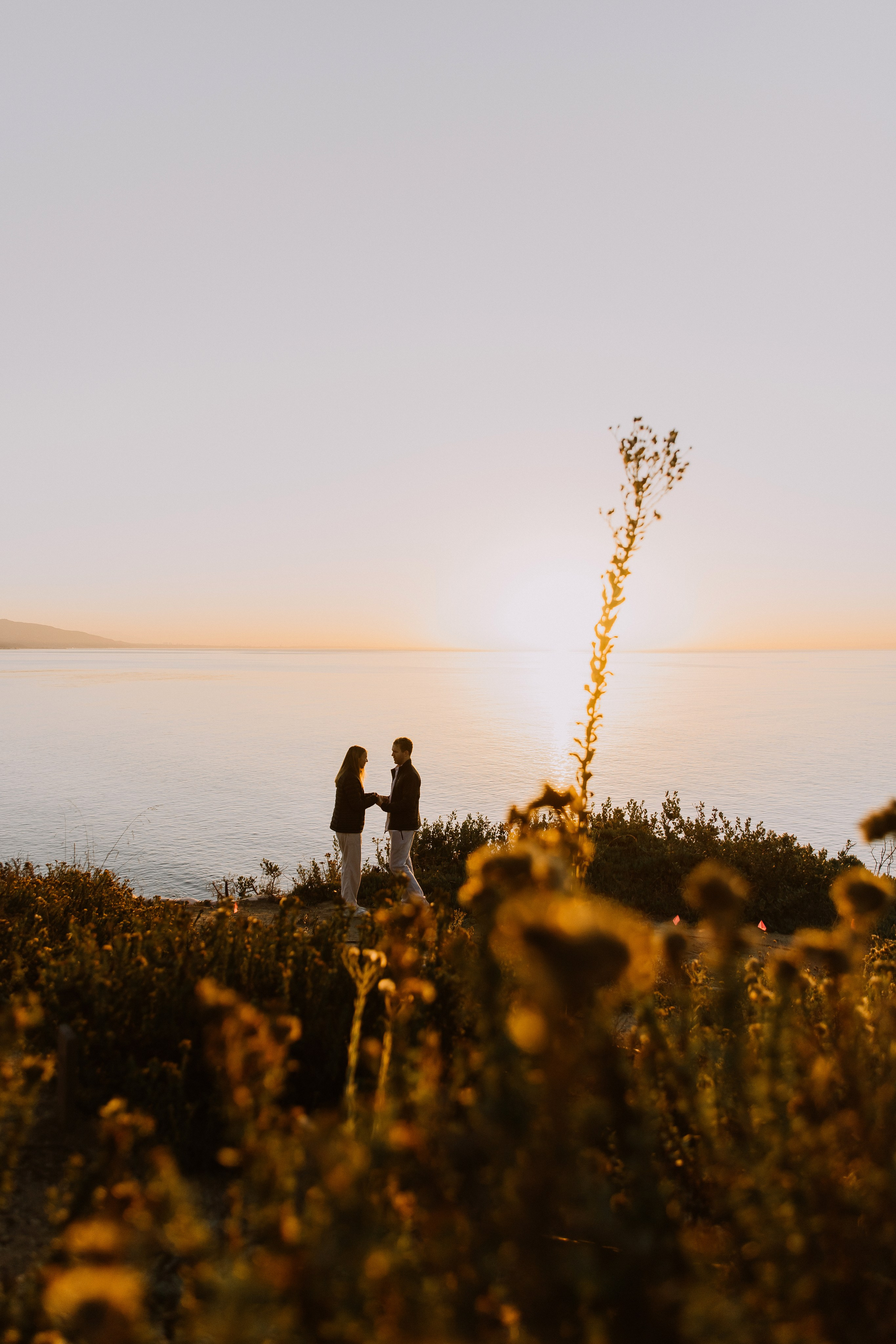 Surprise Proposal at Sunrise at Point Dume, Malibu | Taya Frank. Southern California Family and Couple Photographer