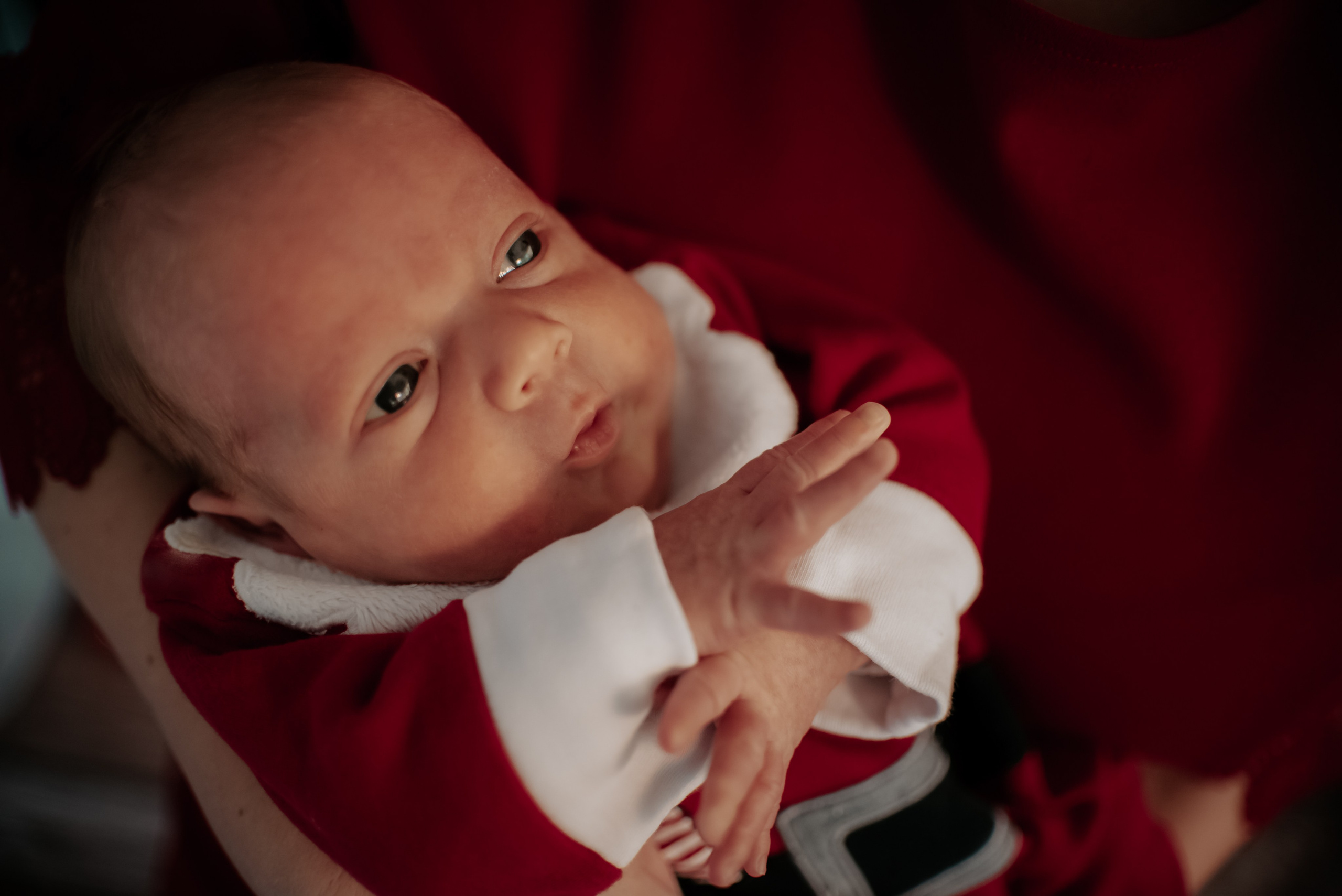 Vianočné fotenie. Rodinná a svadobná fotografka v Bratislave | Prezrite si portfólio