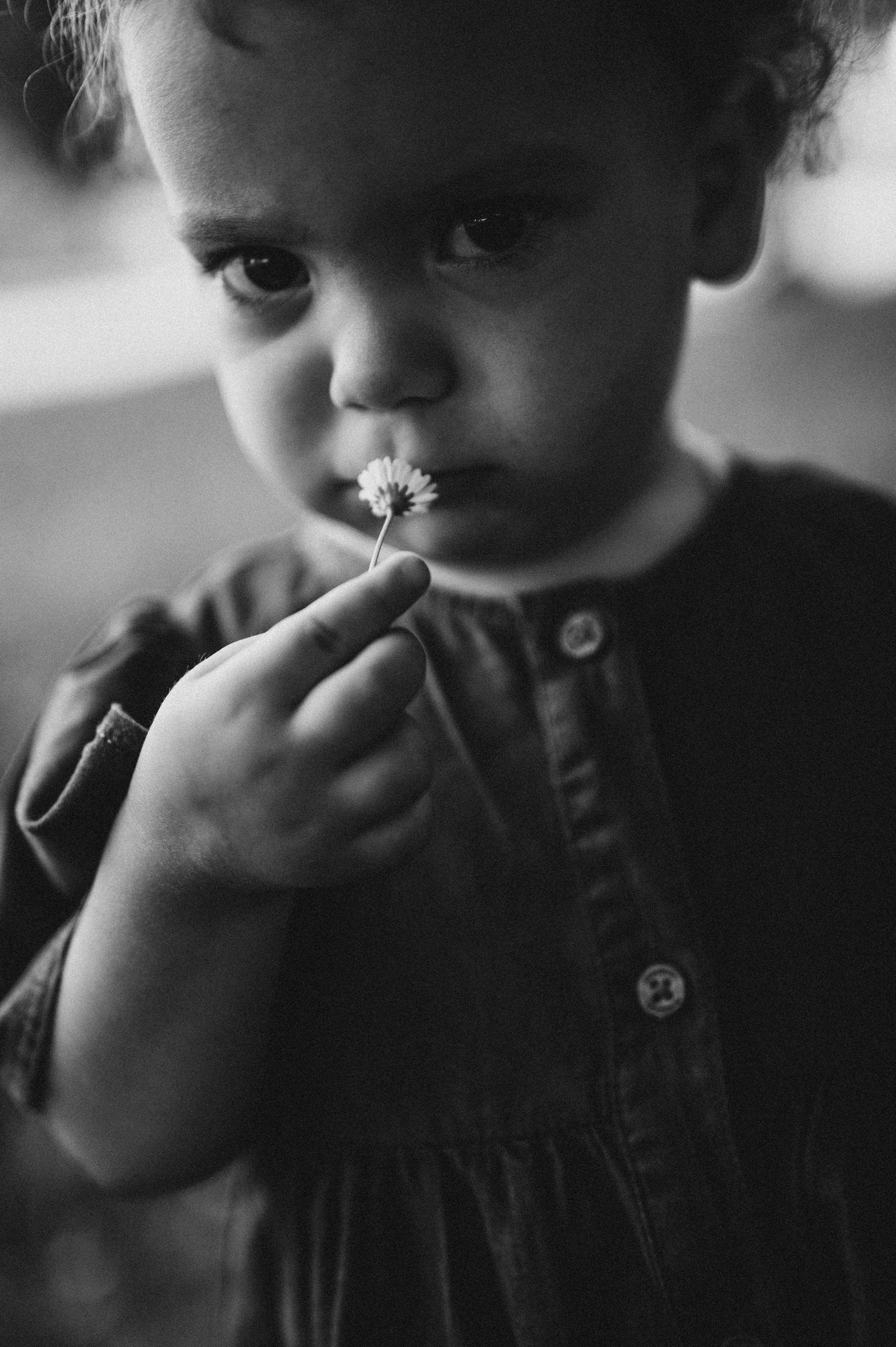 Galerije. Deciji i porodicni fotograf u Beogradu Oksana Skendzic