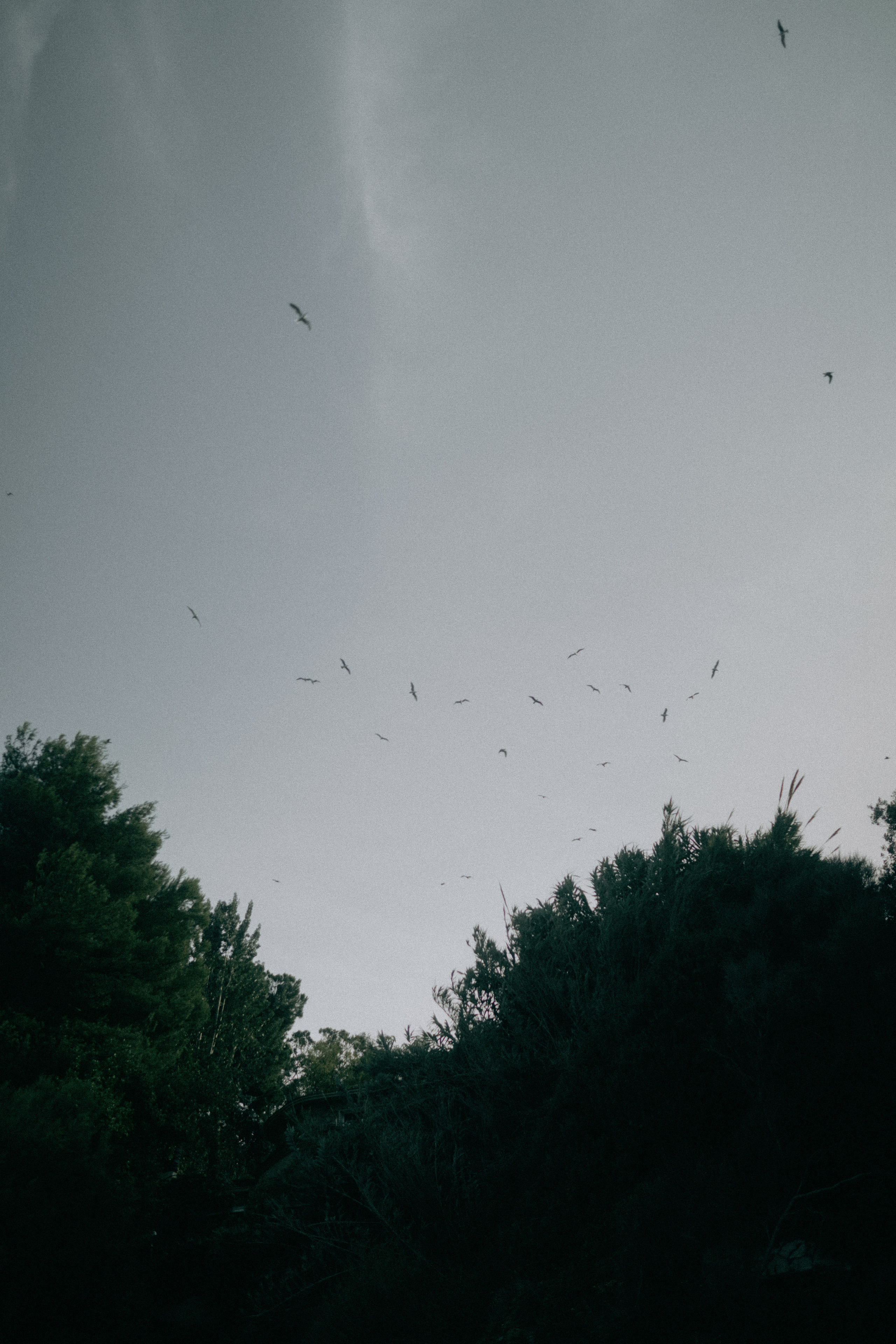 Ksenia & Artur. Paola wedding photographer / videographer in Barcelona