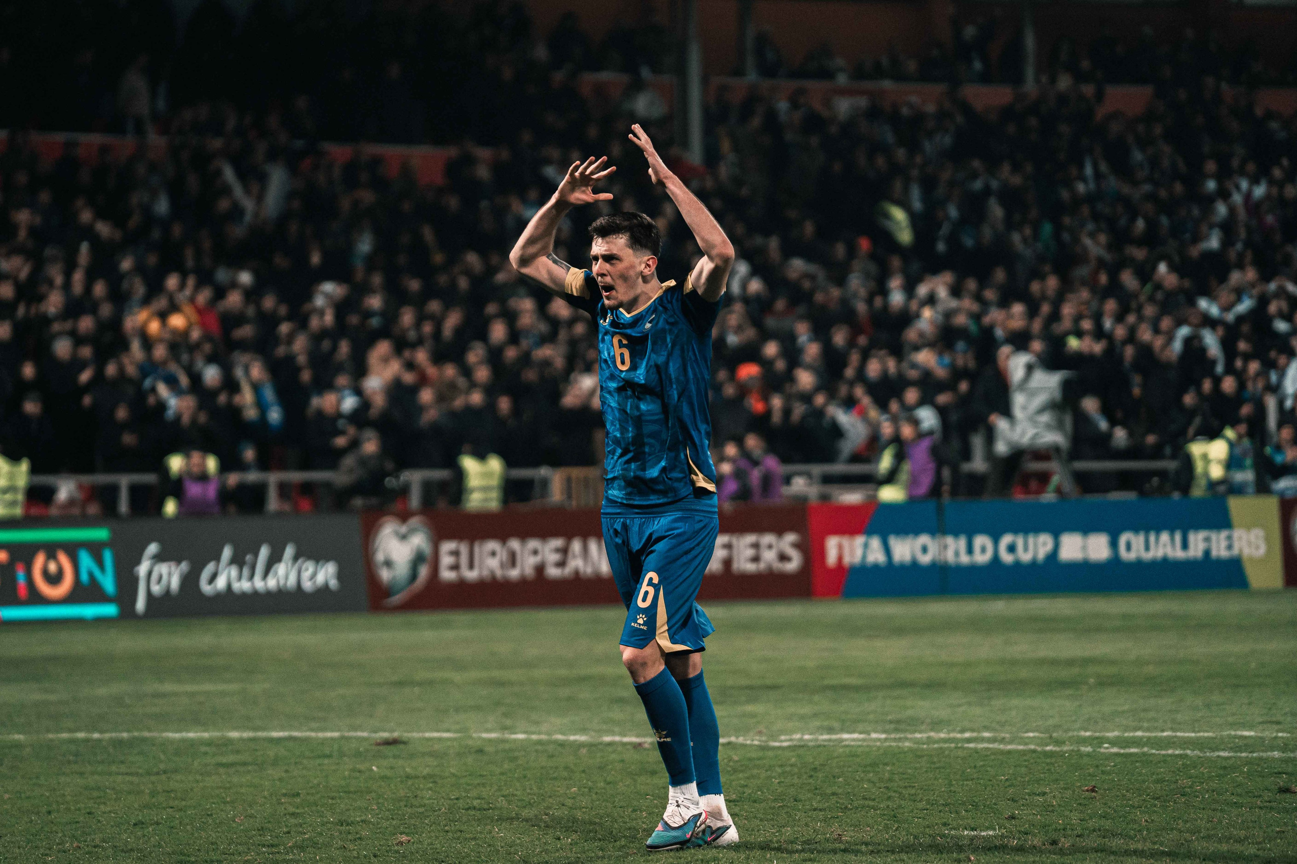 Bosnia and Herzegovina — National Team. Ammar Šabić
