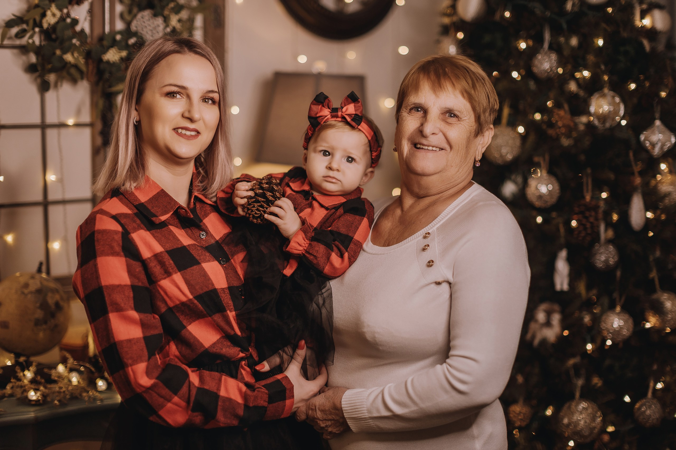 25.11.2023 Christmas Photoshoot 1. Wedding family event photographer in Chicago Nick Yushevich