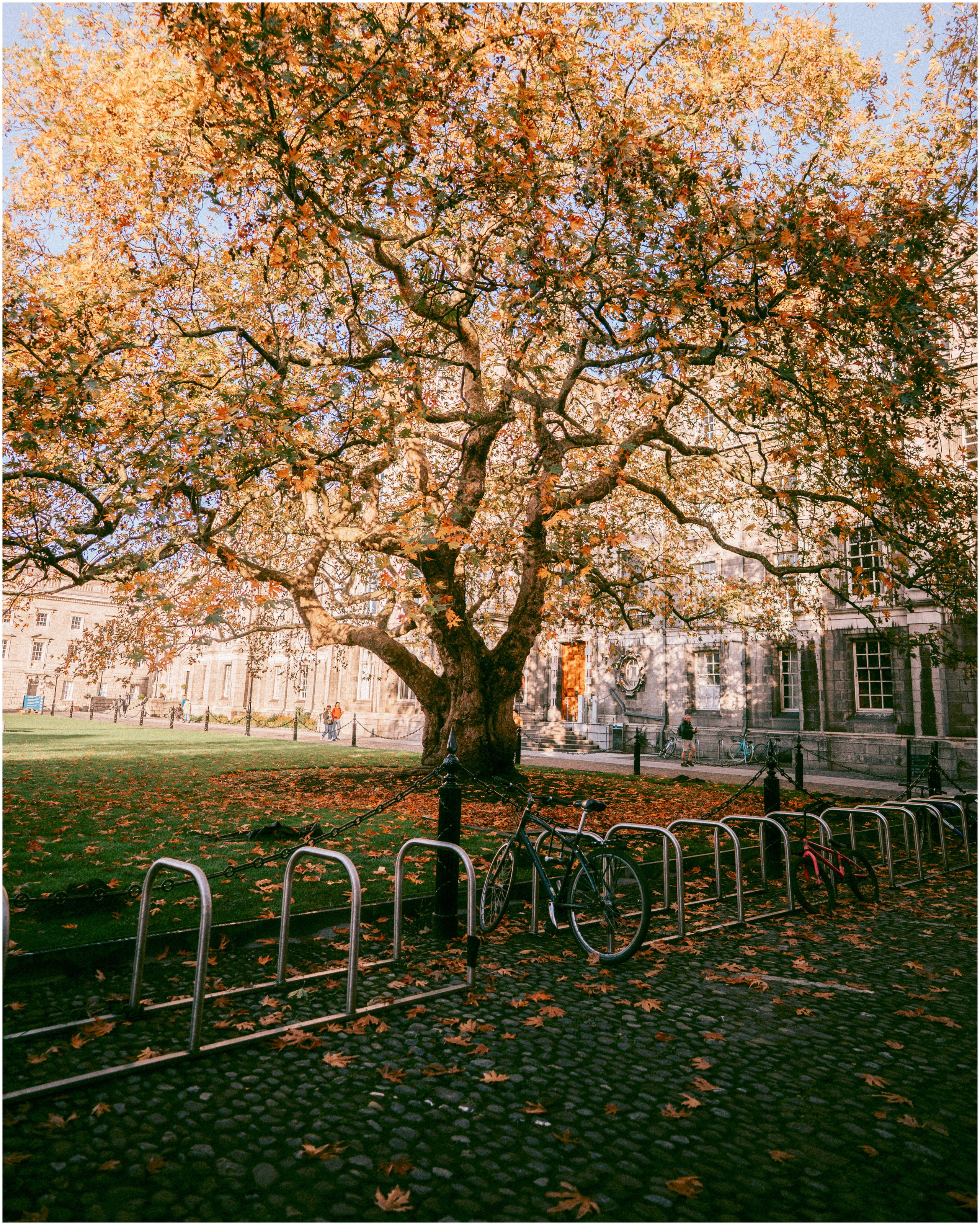 IRELAND. Inna Mendelson — Photographer