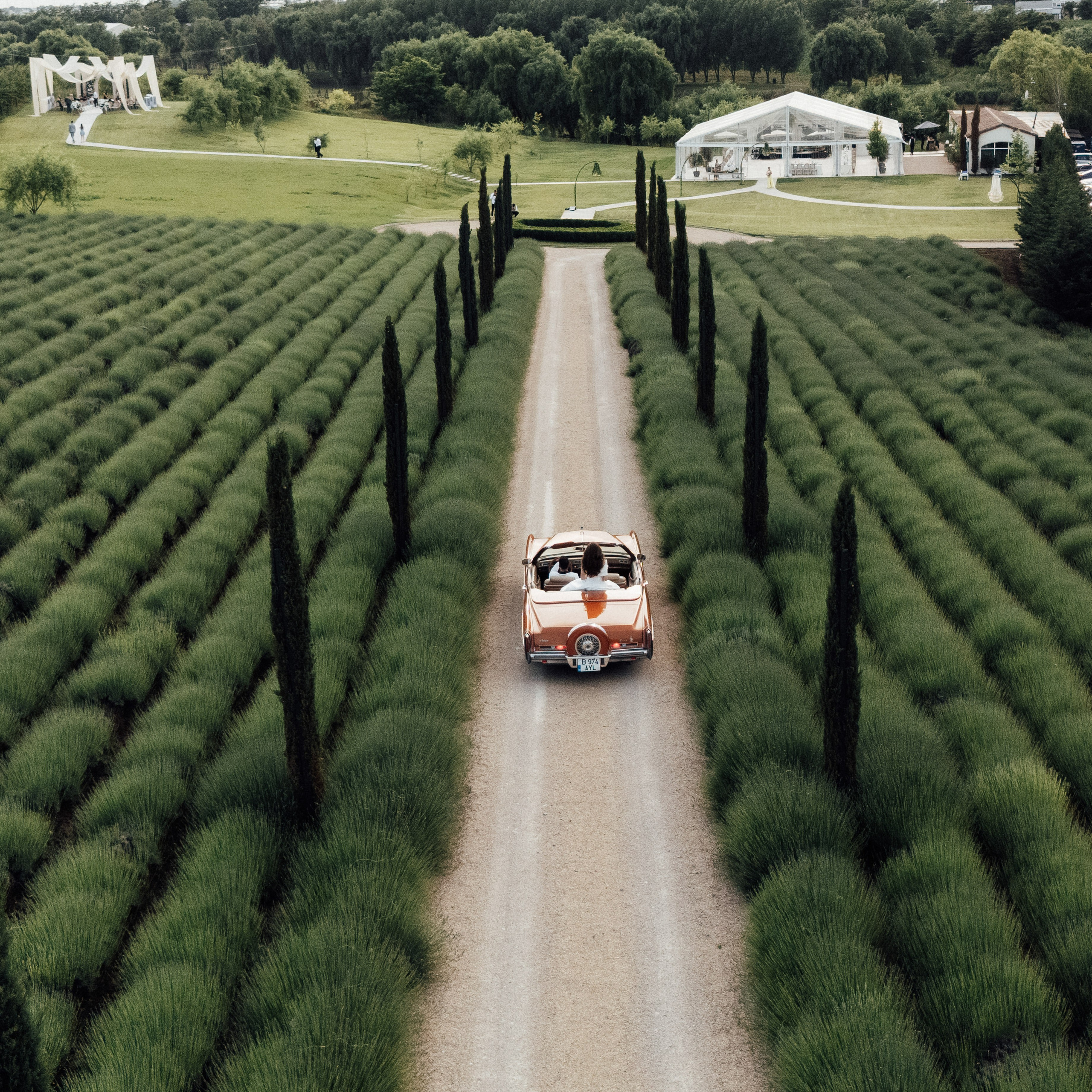 Patricia & Mihai – nuntă la Cesari | Fotograf nuntă București