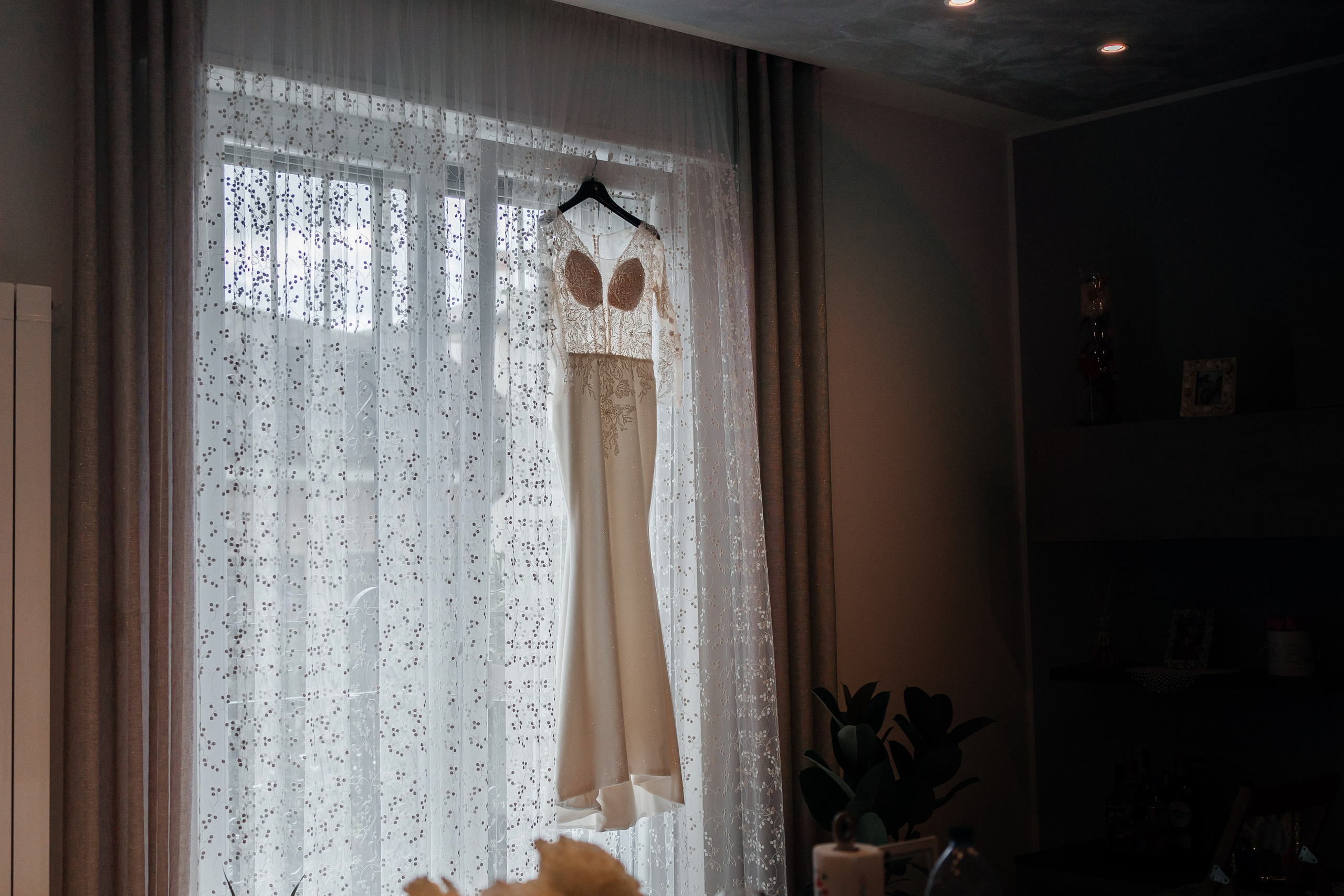 Portafoglio. Mocanu Roman di fotografo in Bologna/Modena/Ferrara