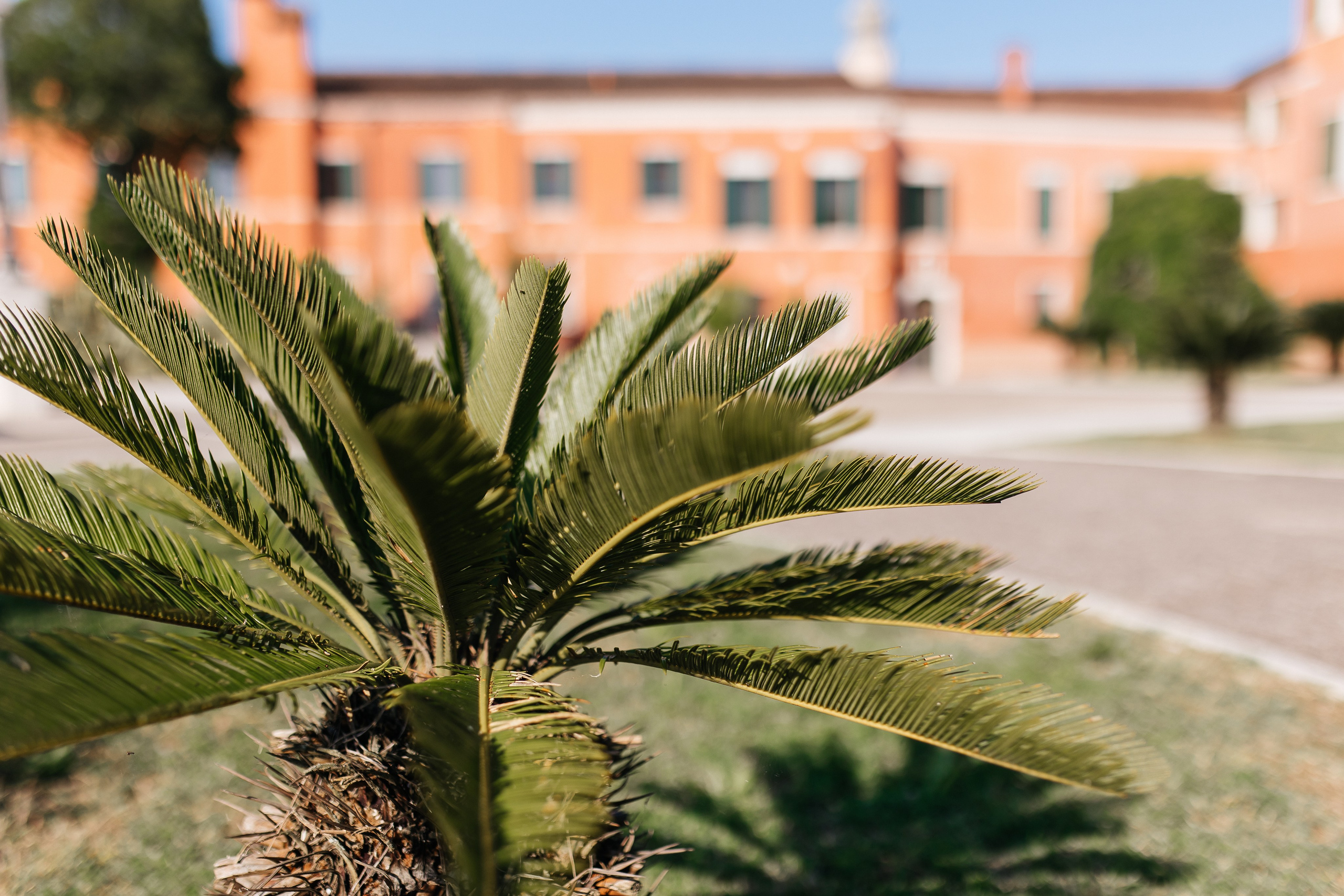 Mher & Anna. Armenian Wedding In Venice