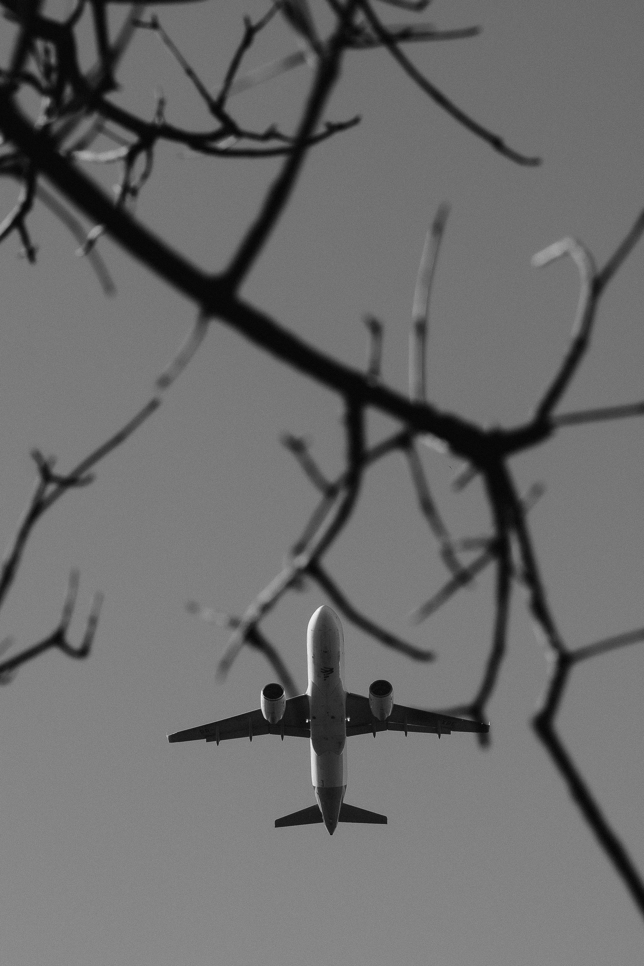 Cerimônias ao ar livre. Fotógrafo de Casamentos