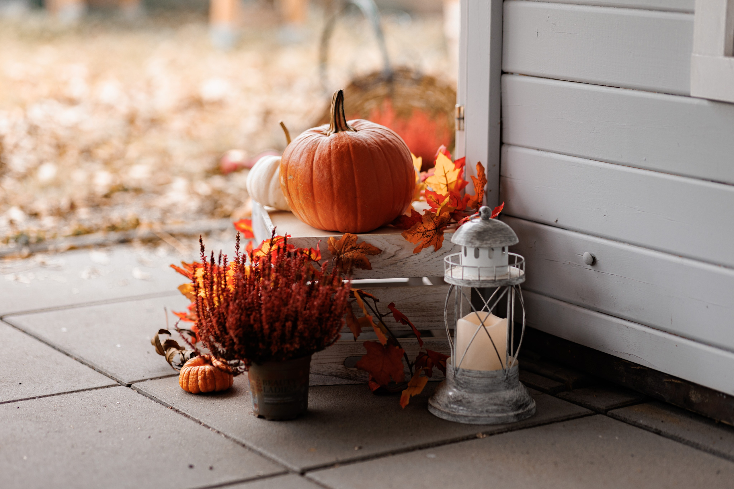 LANDHAUSE. Family Fotografer in München und Umgebung