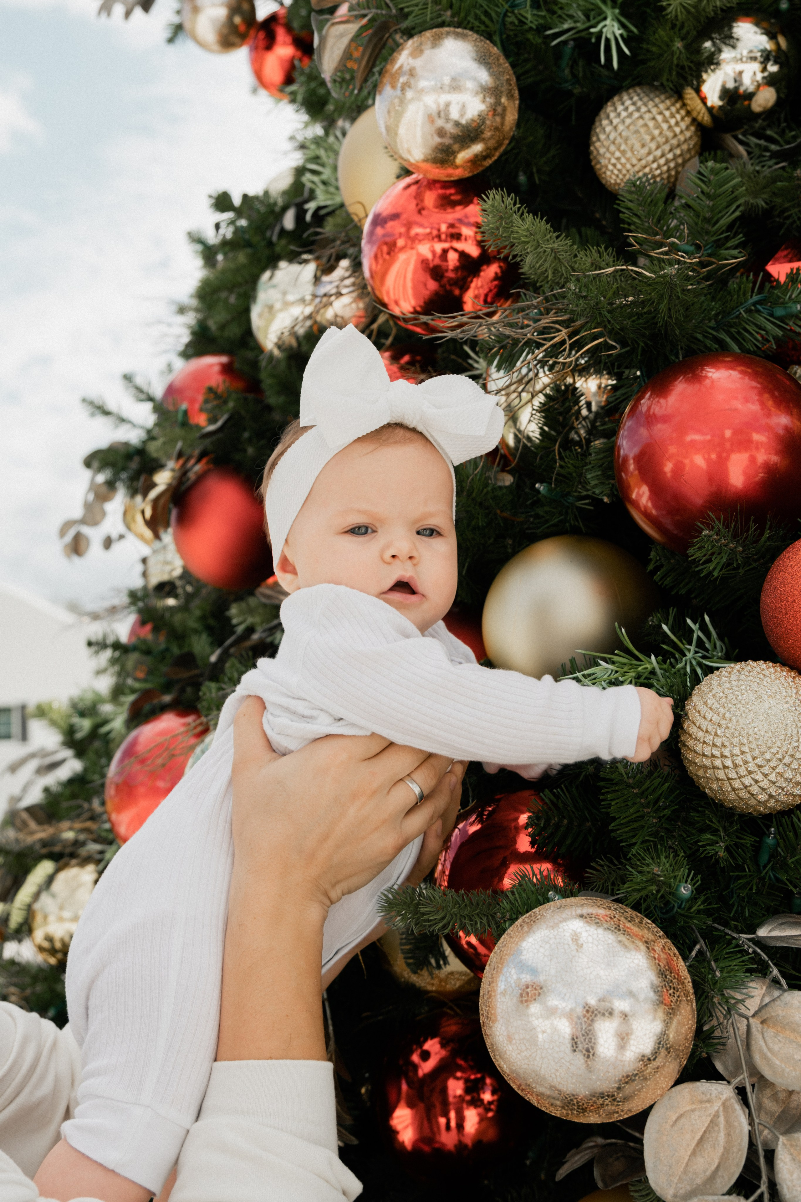 Nelya & Maksim. Photographer Vladmir Gladkov