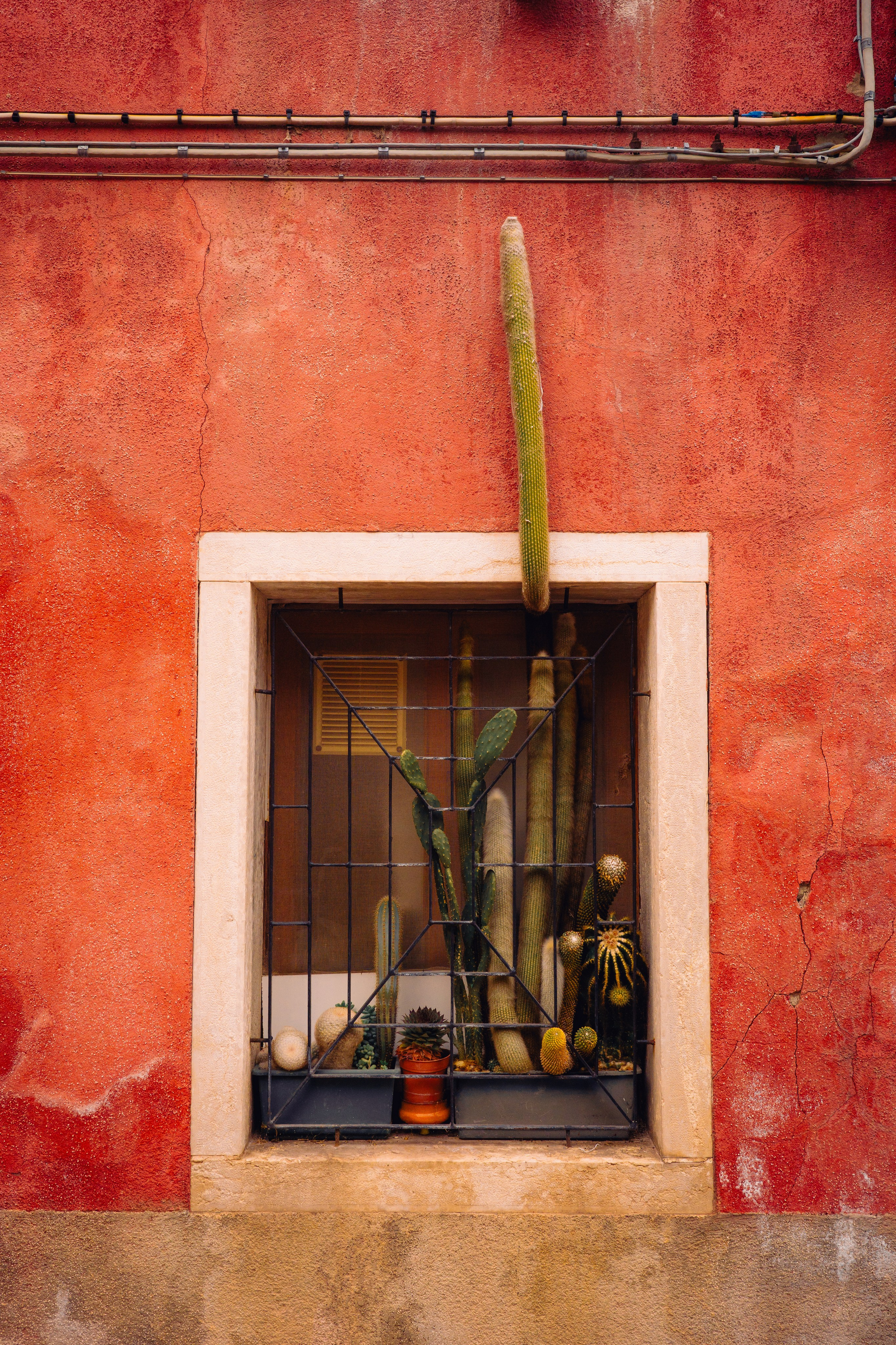 Работы Марии Шер. Sher.SCHOOL