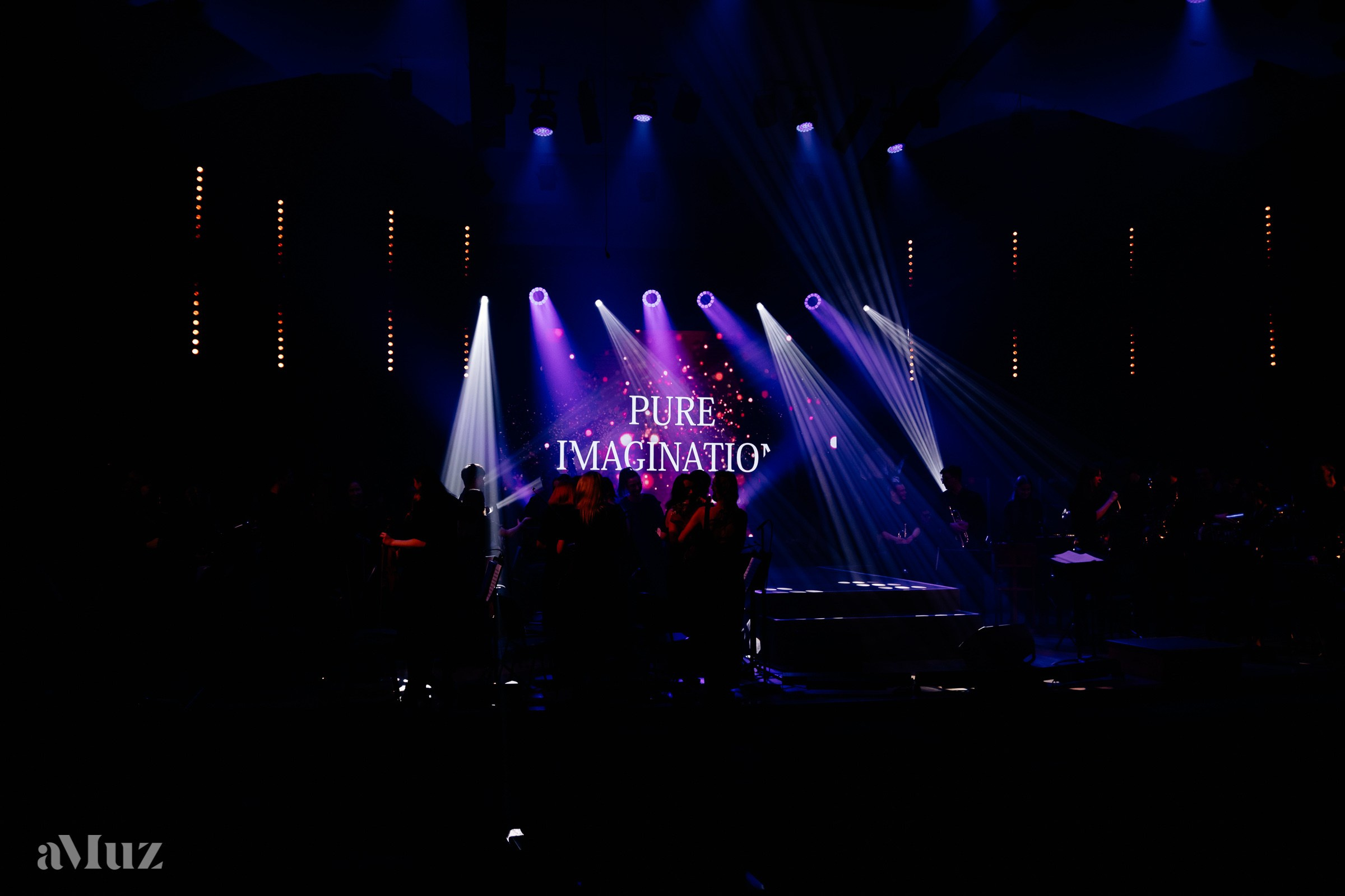 Koncert Amuz.pl. Fotograf Ślubny Warszawa - Sesje Biznesowe Rodzinne Eventy